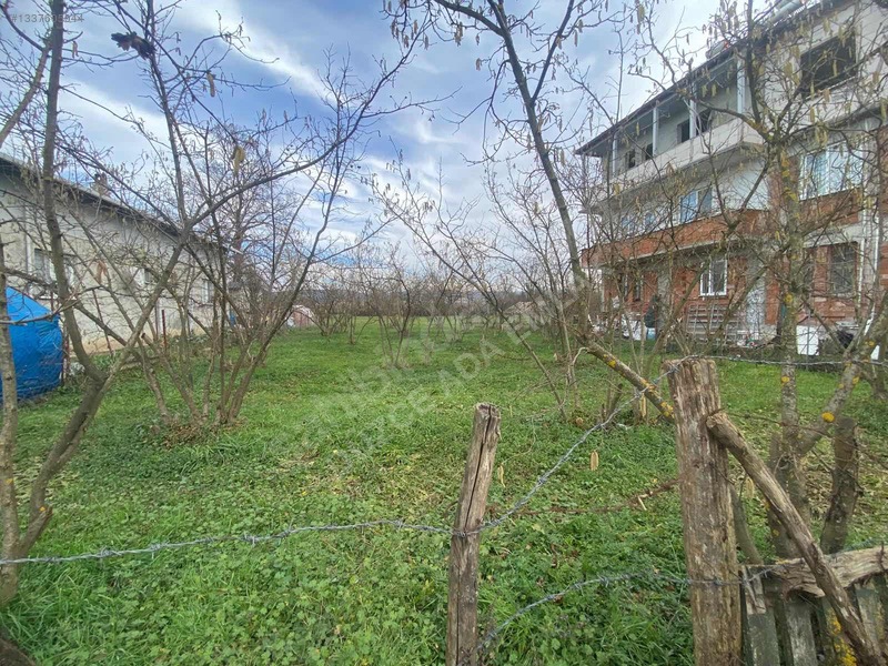 Düzce Beyciler Mah. Satılık Arsa — fotoğraf 2