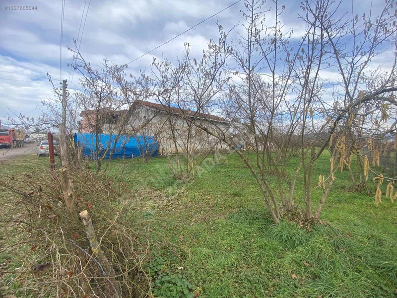 Düzce Beyciler Mah. Satılık Arsa — fotoğraf 11