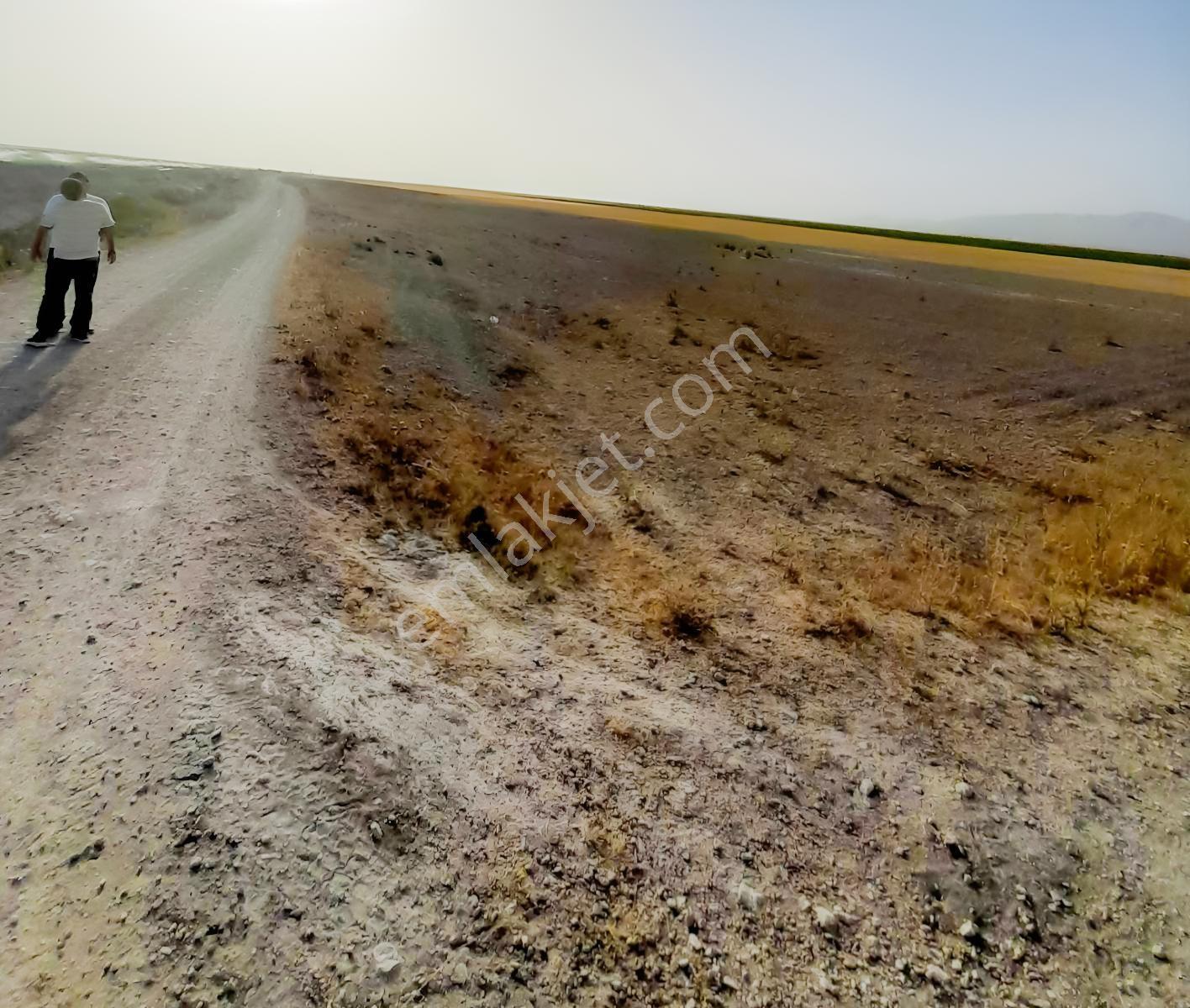 Bölgenin En Kelepir Sulu Arazisi Üstelik Köşe Parsel — fotoğraf 3