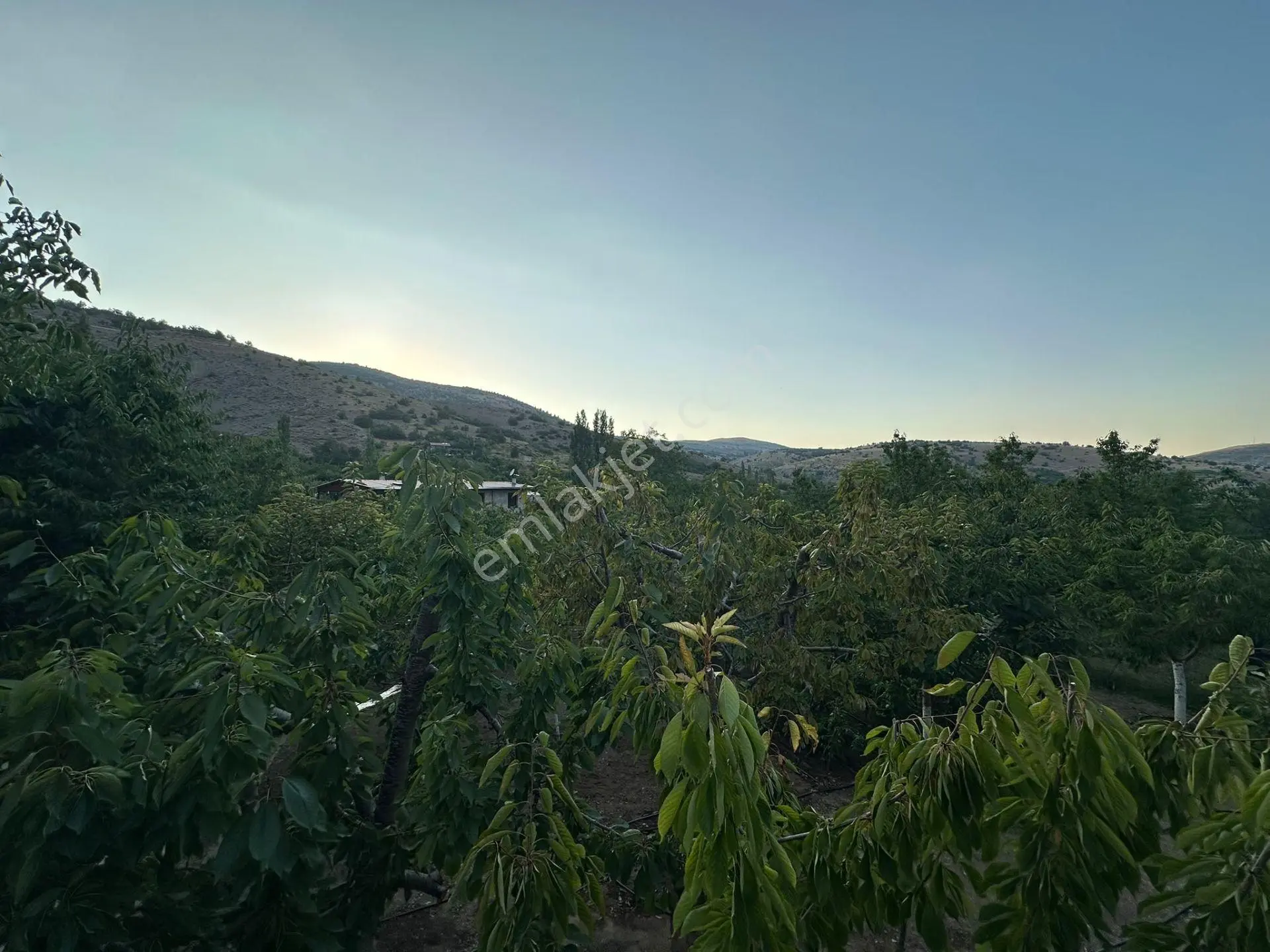 Niğde Ulukışla Darboğaz'da 1031 M² Bahçeli Müstakil Ev — fotoğraf 6