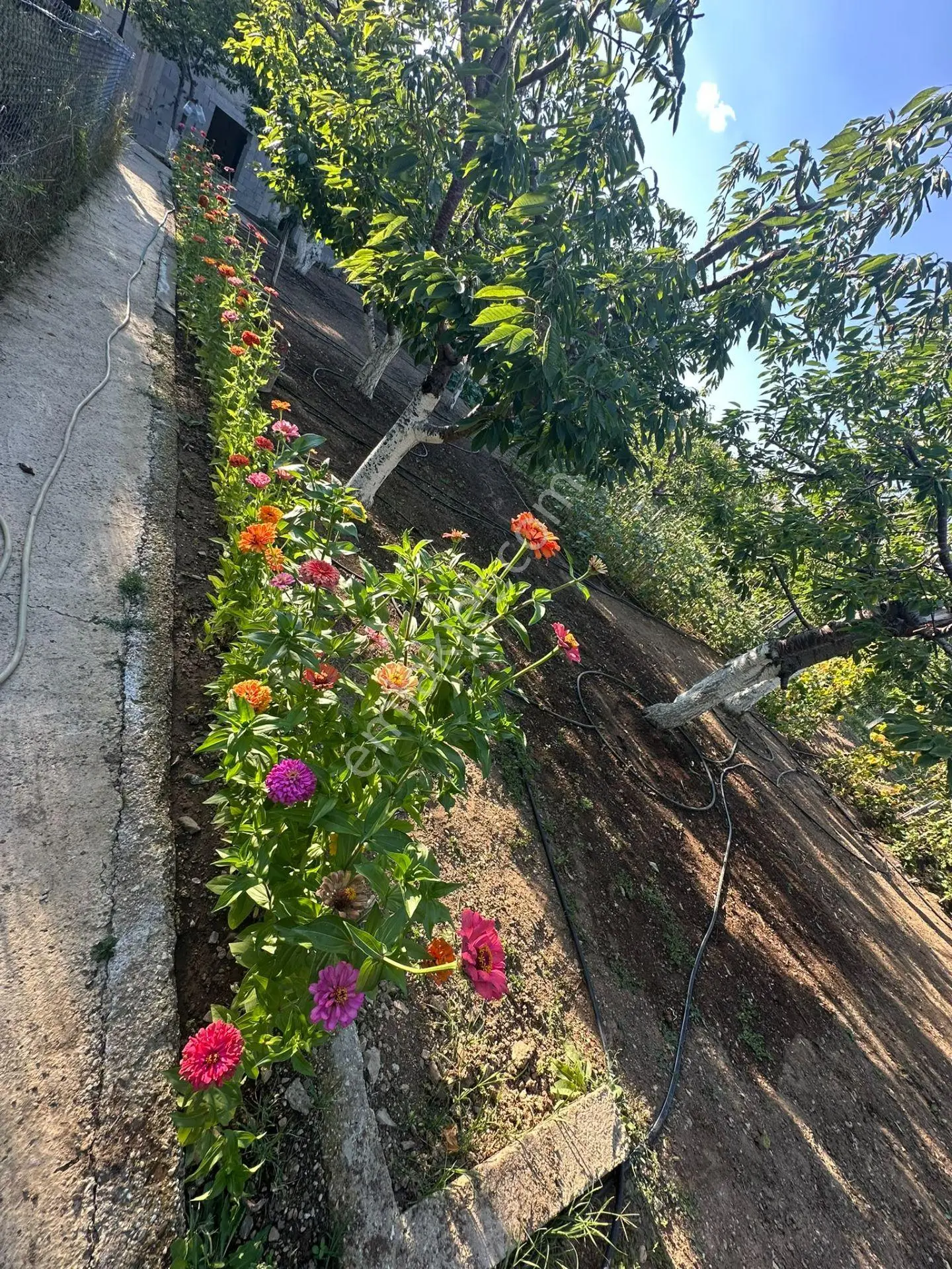 Niğde Ulukışla Darboğaz'da 1031 M² Bahçeli Müstakil Ev — fotoğraf 19