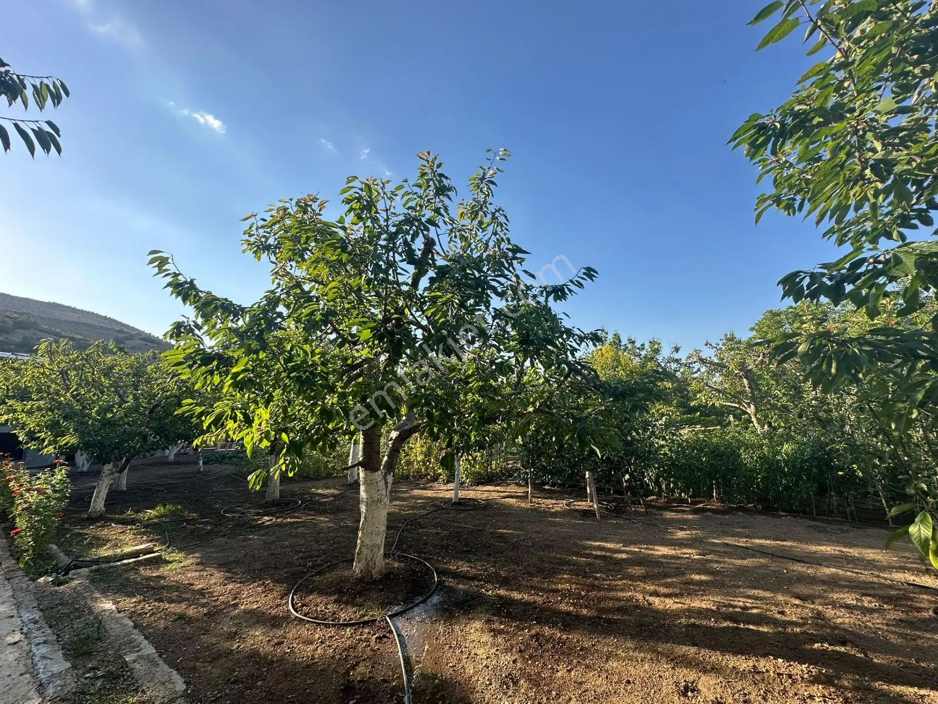 Niğde Ulukışla Darboğaz'da 1031 M² Bahçeli Müstakil Ev — fotoğraf 22