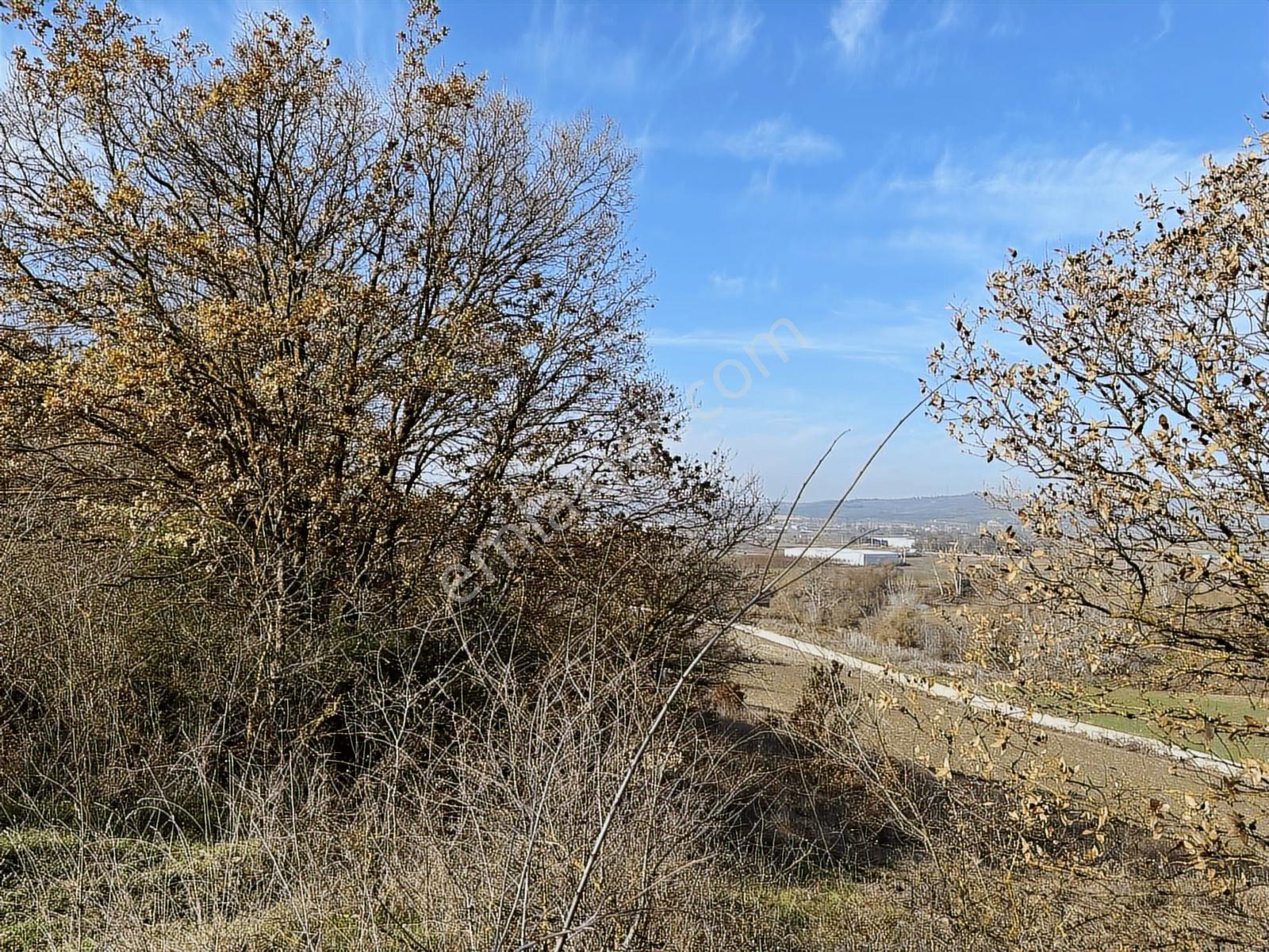Profasor *Dan Nilüfer Gökçeköy 'De Yatırımlık 2150 M2 Tarla