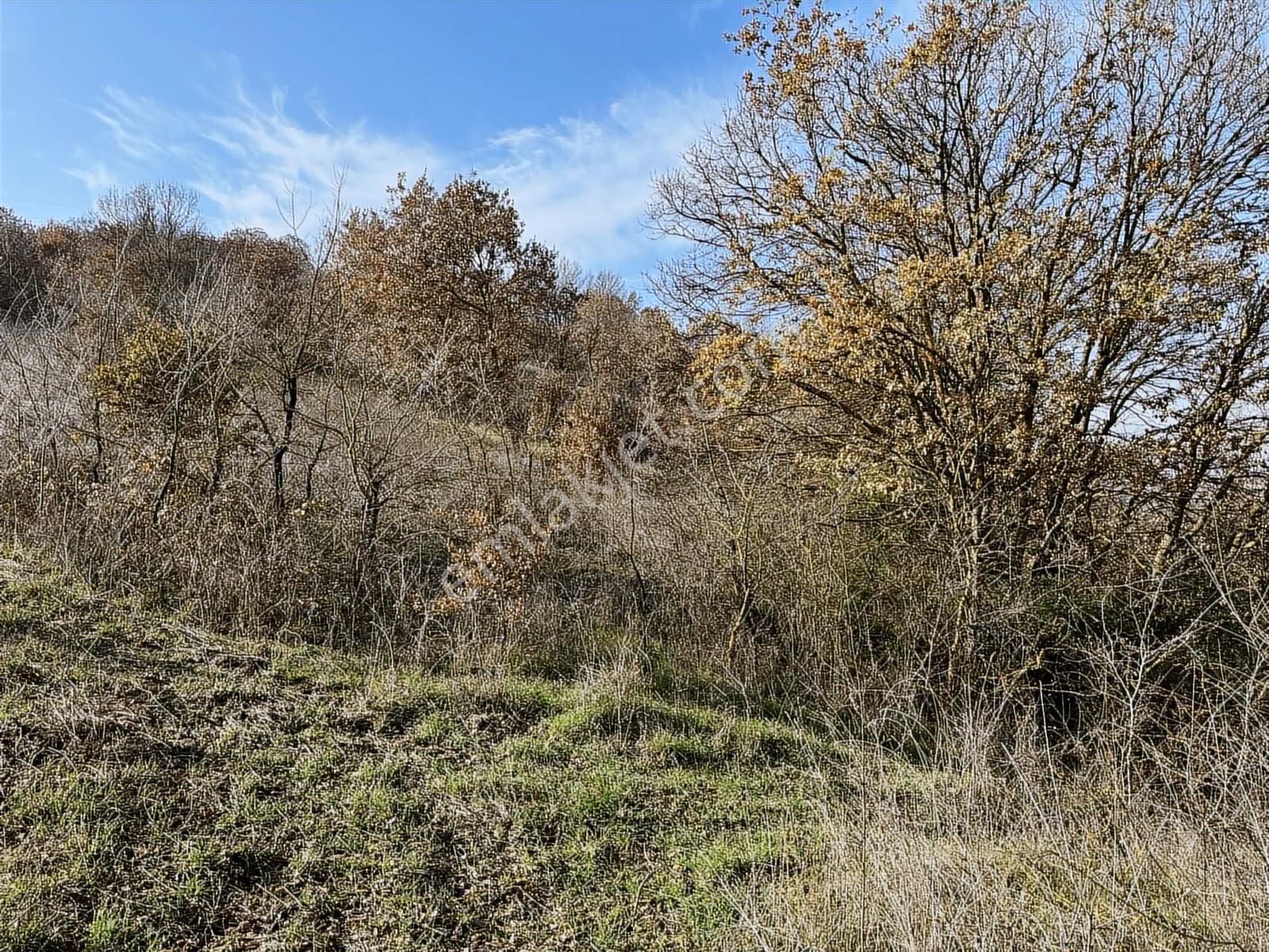 Profasor *dan Nilüfer Gökçeköy 'de Yatırımlık 2150 M2 Tarla — fotoğraf 2