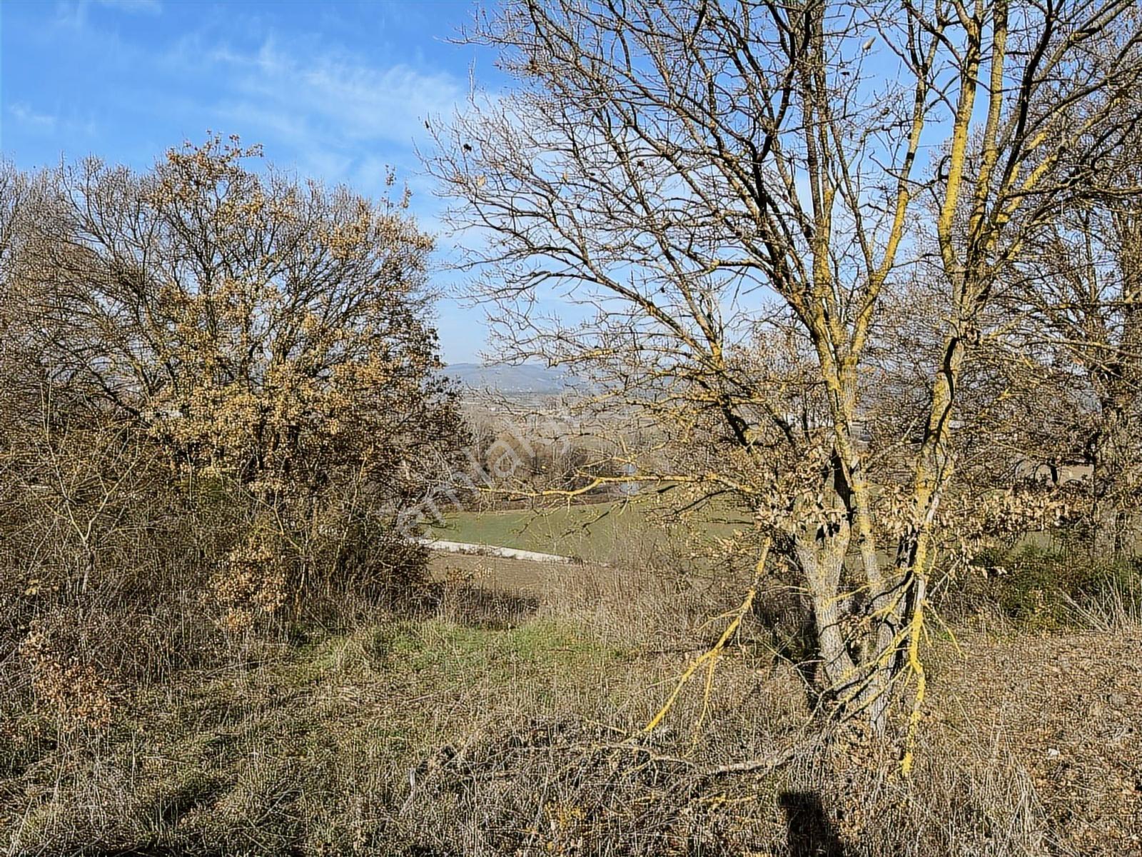 Profasor *dan Nilüfer Gökçeköy 'de Yatırımlık 2150 M2 Tarla — fotoğraf 3