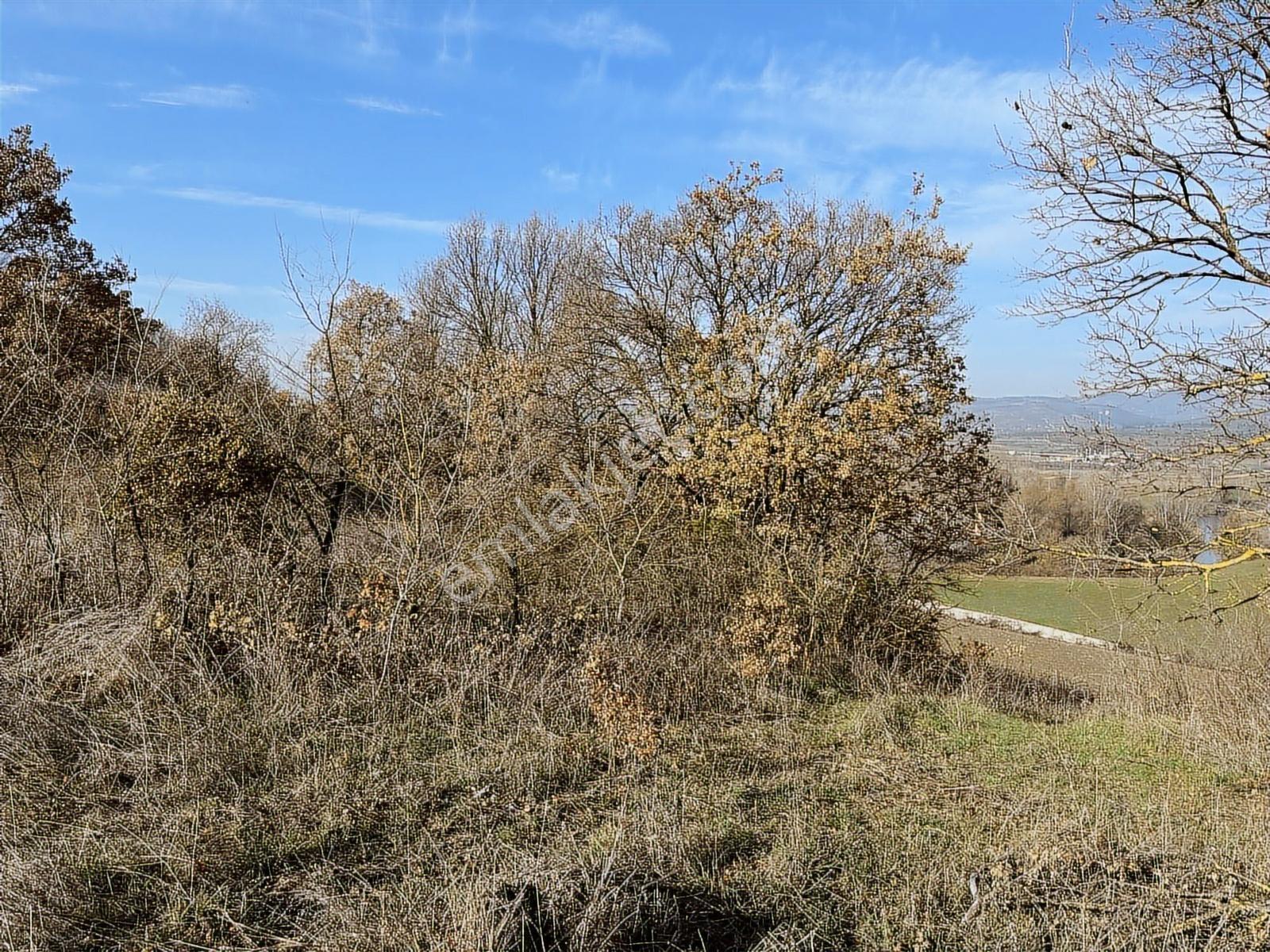 Profasor *dan Nilüfer Gökçeköy 'de Yatırımlık 2150 M2 Tarla — fotoğraf 4