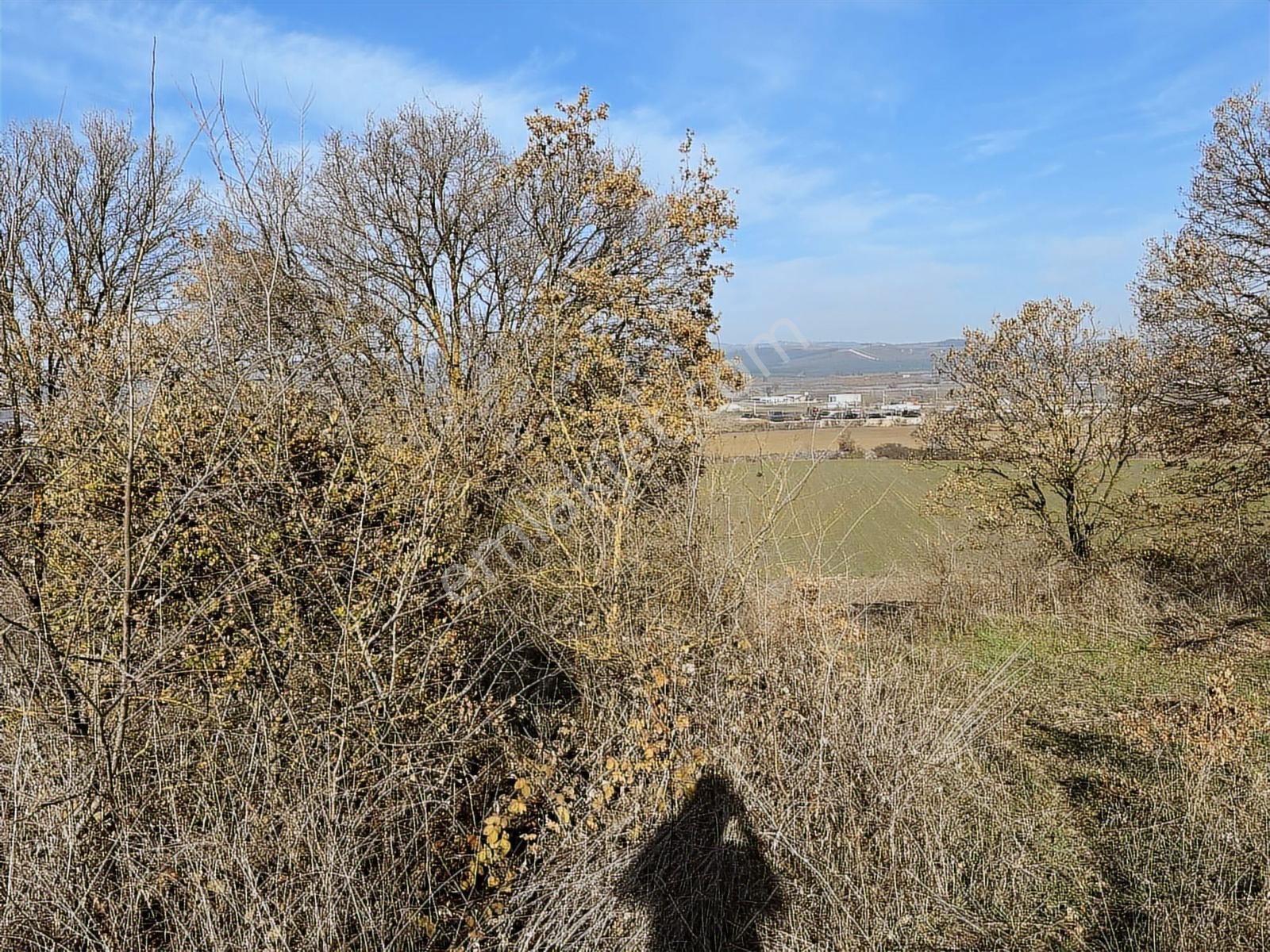 Profasor *dan Nilüfer Gökçeköy 'de Yatırımlık 2150 M2 Tarla — fotoğraf 6