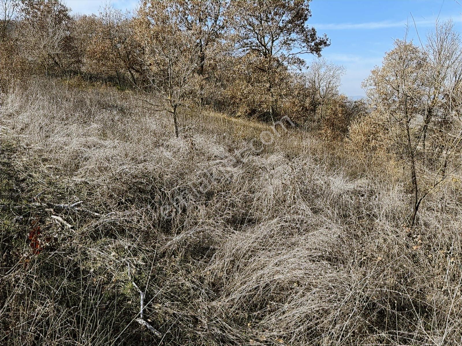 Profasor *dan Nilüfer Gökçeköy 'de Yatırımlık 2150 M2 Tarla — fotoğraf 7