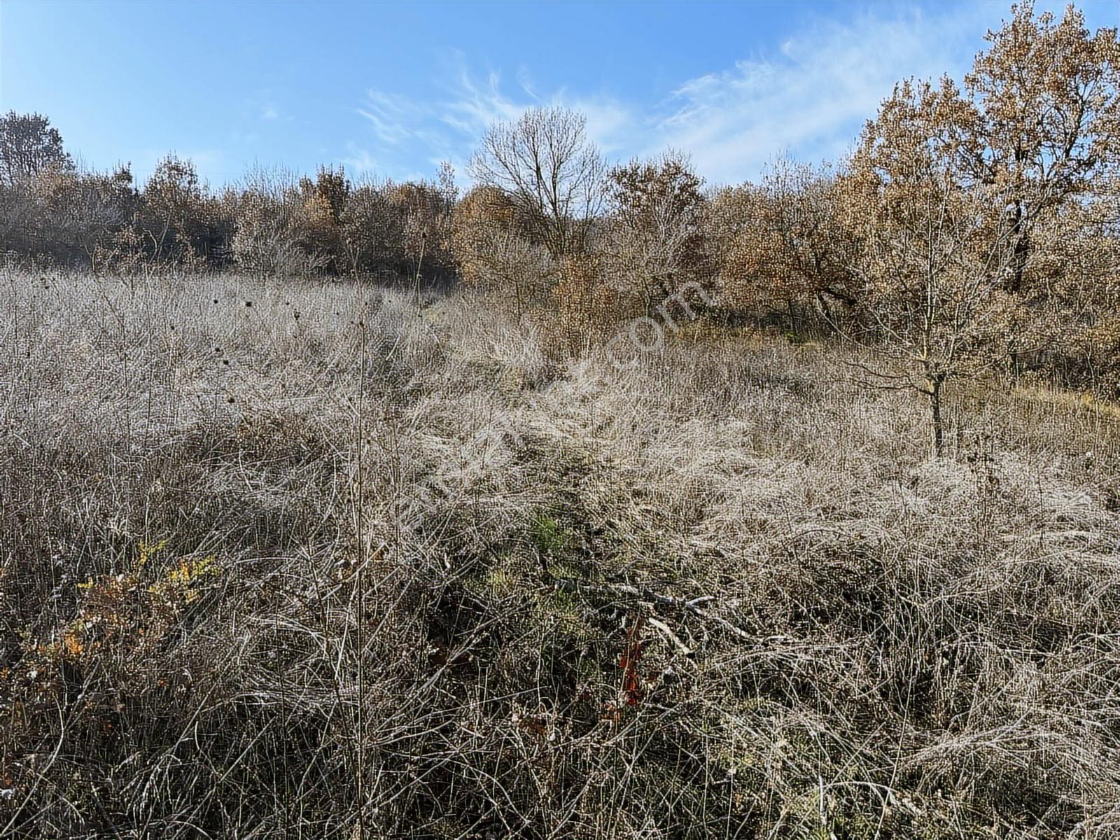 Profasor *dan Nilüfer Gökçeköy 'de Yatırımlık 2150 M2 Tarla — fotoğraf 8