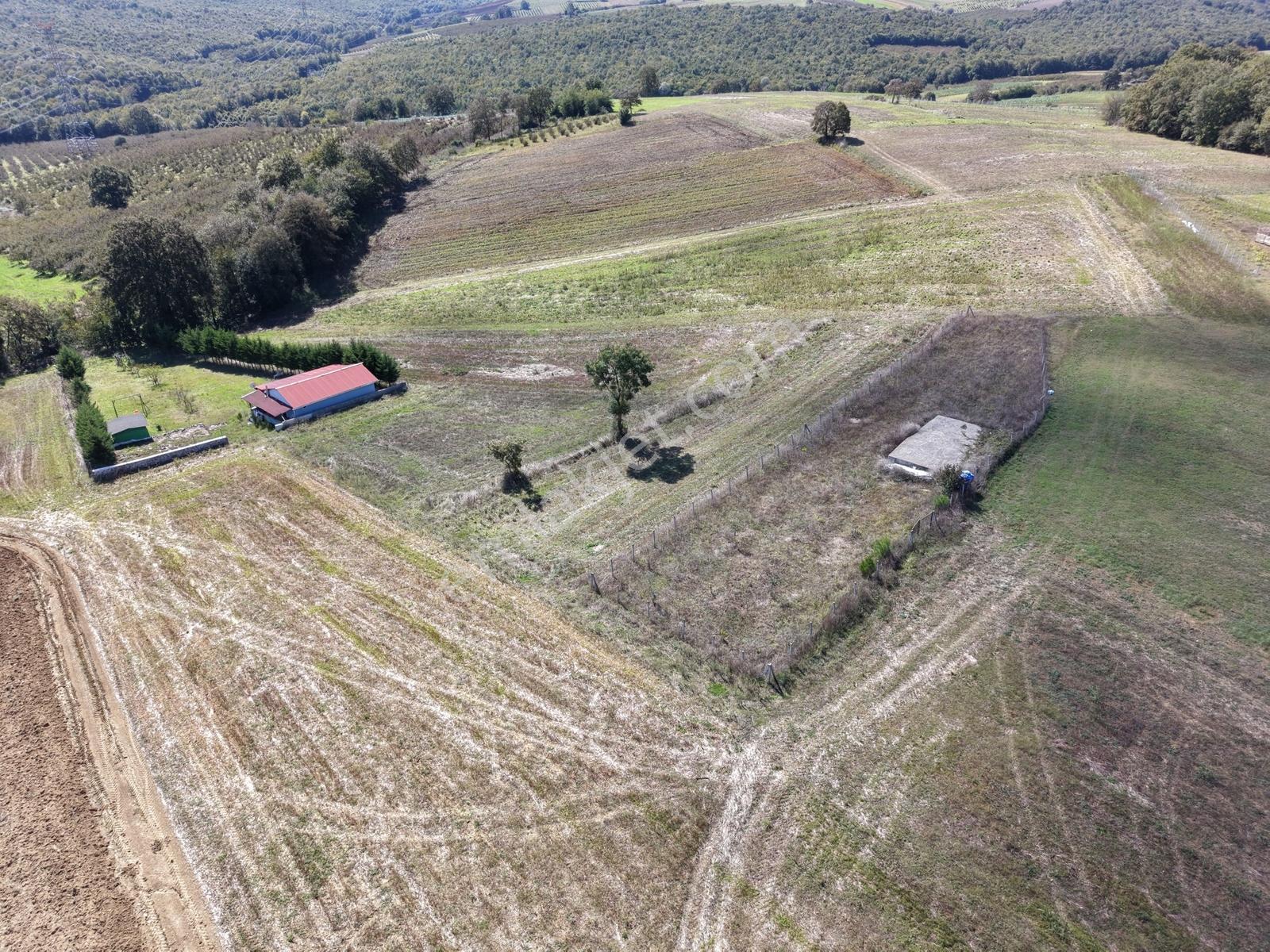 Kaynarca Karamanlarda 915M2 Müstakil Tapulu Yollu Fırsat