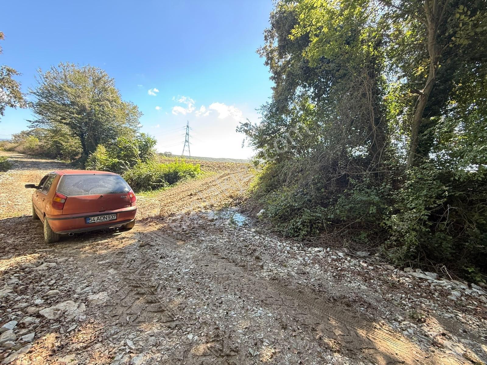 Kaynarca Karamanlarda 915m2 Müstakil Tapulu Yollu Fırsat — fotoğraf 4