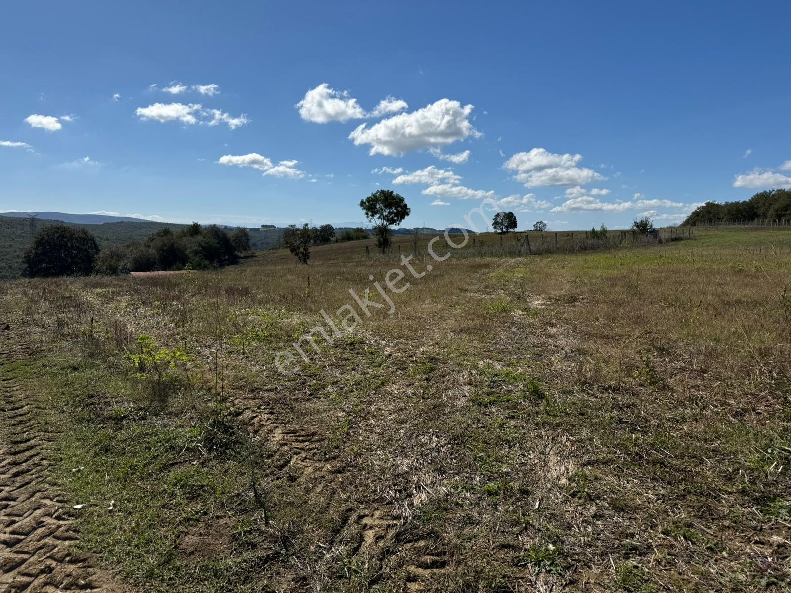 Kaynarca Karamanlarda 915m2 Müstakil Tapulu Yollu Fırsat — fotoğraf 9