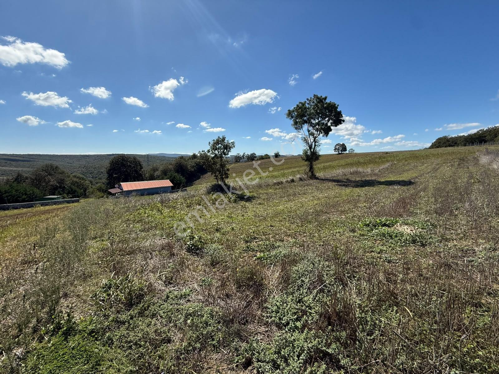 Kaynarca Karamanlarda 915m2 Müstakil Tapulu Yollu Fırsat — fotoğraf 10