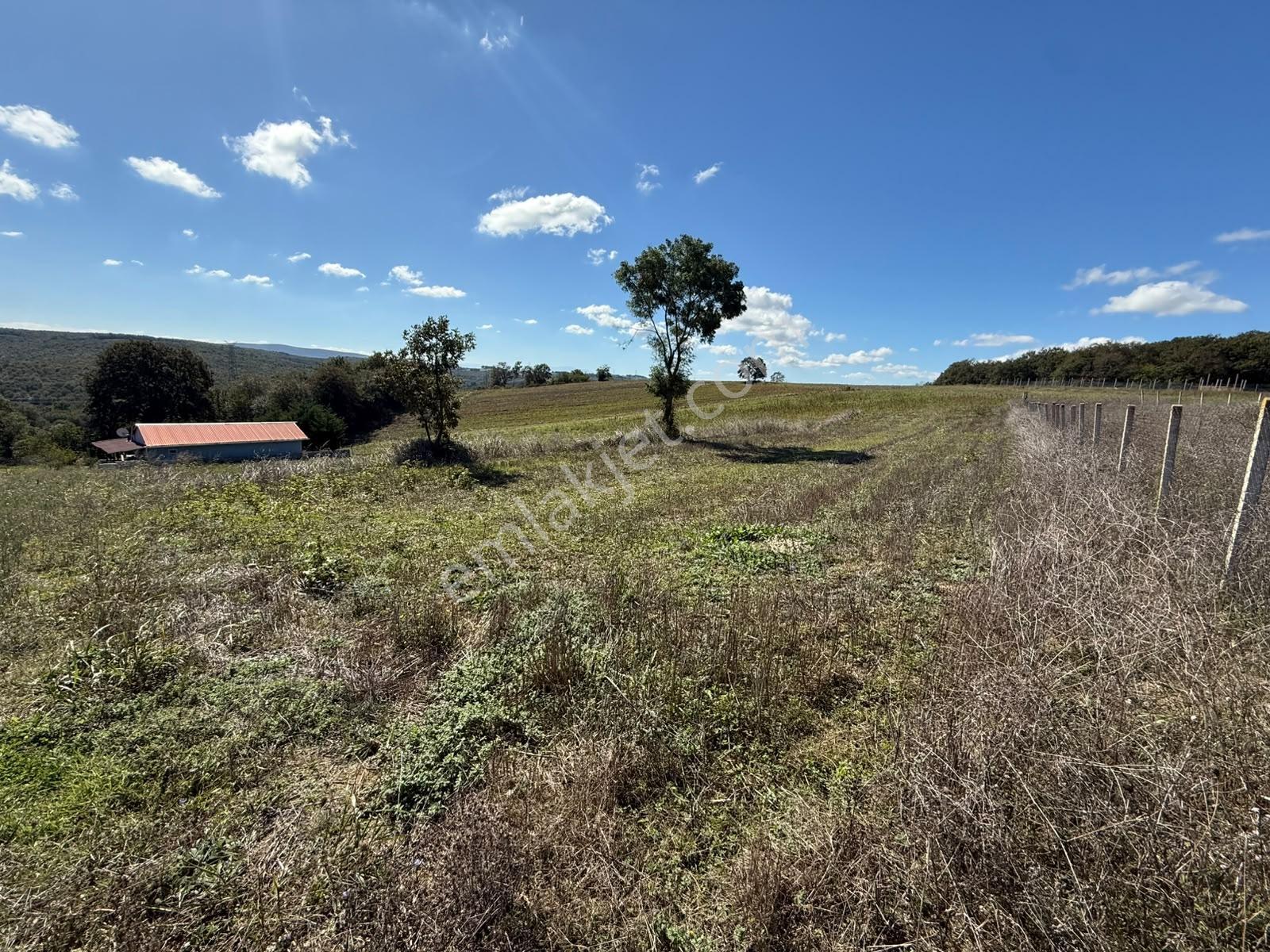 Kaynarca Karamanlarda 915m2 Müstakil Tapulu Yollu Fırsat — fotoğraf 12