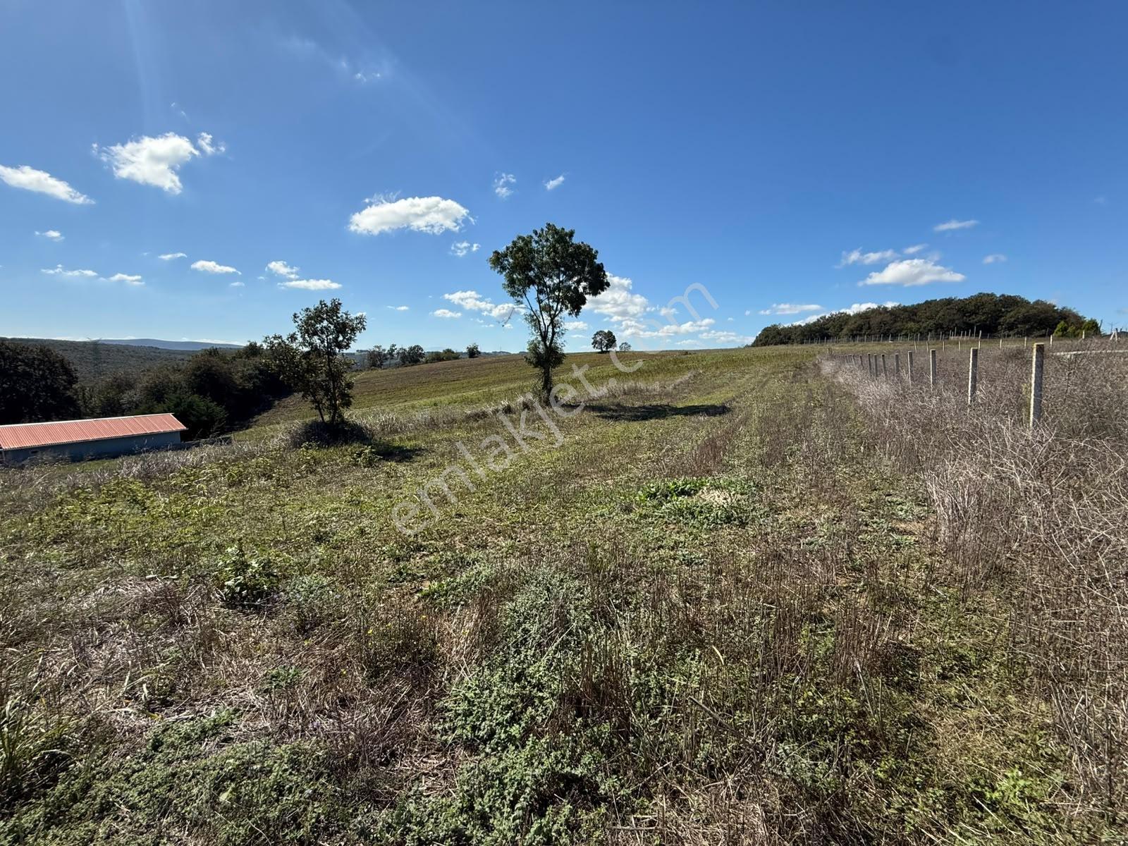 Kaynarca Karamanlarda 915m2 Müstakil Tapulu Yollu Fırsat — fotoğraf 13