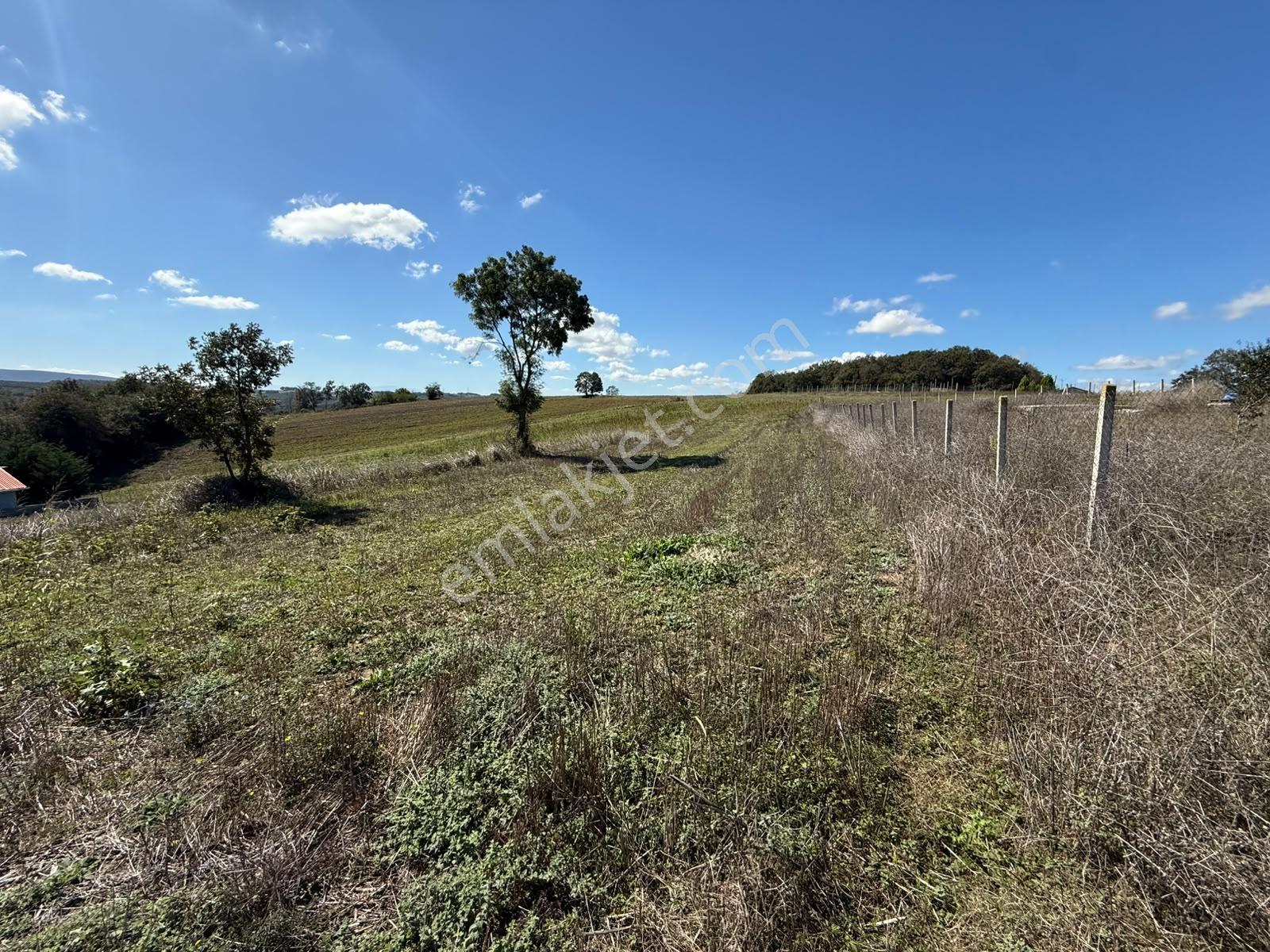 Kaynarca Karamanlarda 915m2 Müstakil Tapulu Yollu Fırsat — fotoğraf 14