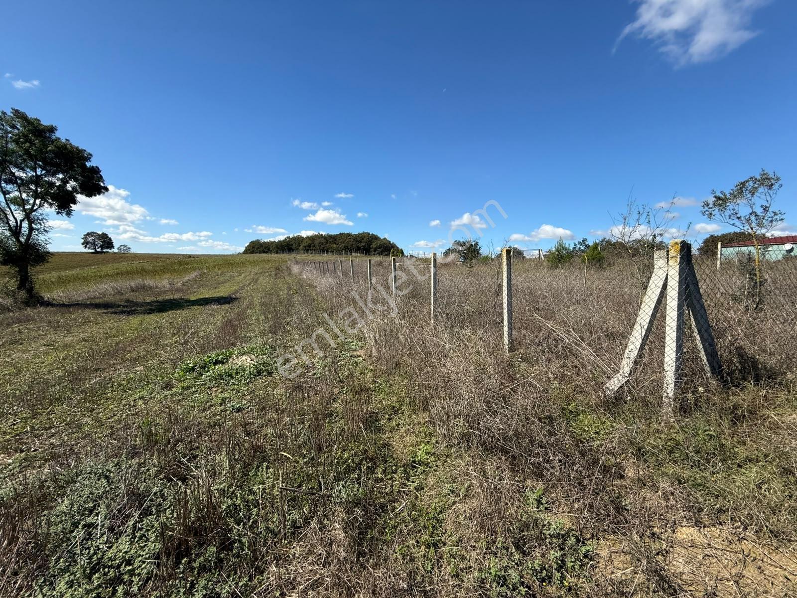 Kaynarca Karamanlarda 915m2 Müstakil Tapulu Yollu Fırsat — fotoğraf 15