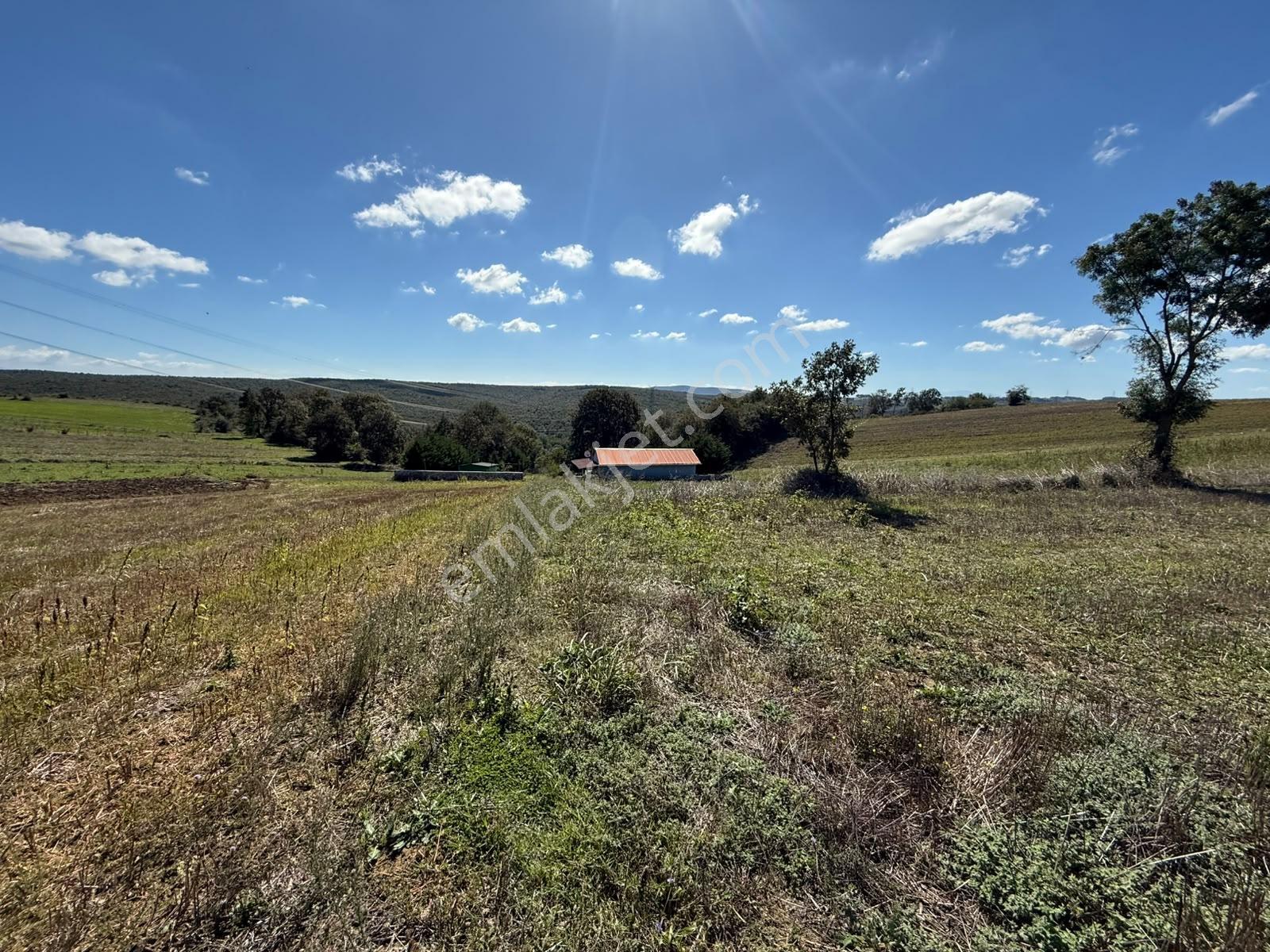Kaynarca Karamanlarda 915m2 Müstakil Tapulu Yollu Fırsat — fotoğraf 16
