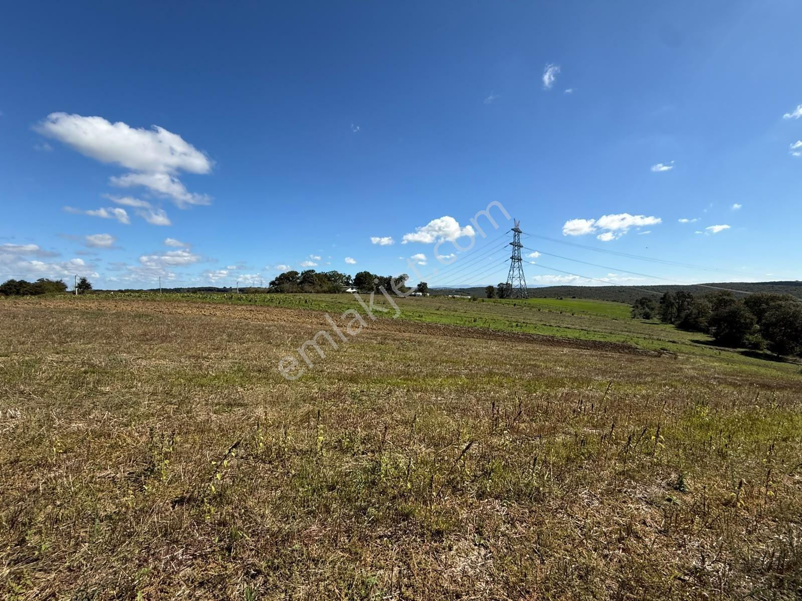 Kaynarca Karamanlarda 915m2 Müstakil Tapulu Yollu Fırsat — fotoğraf 20