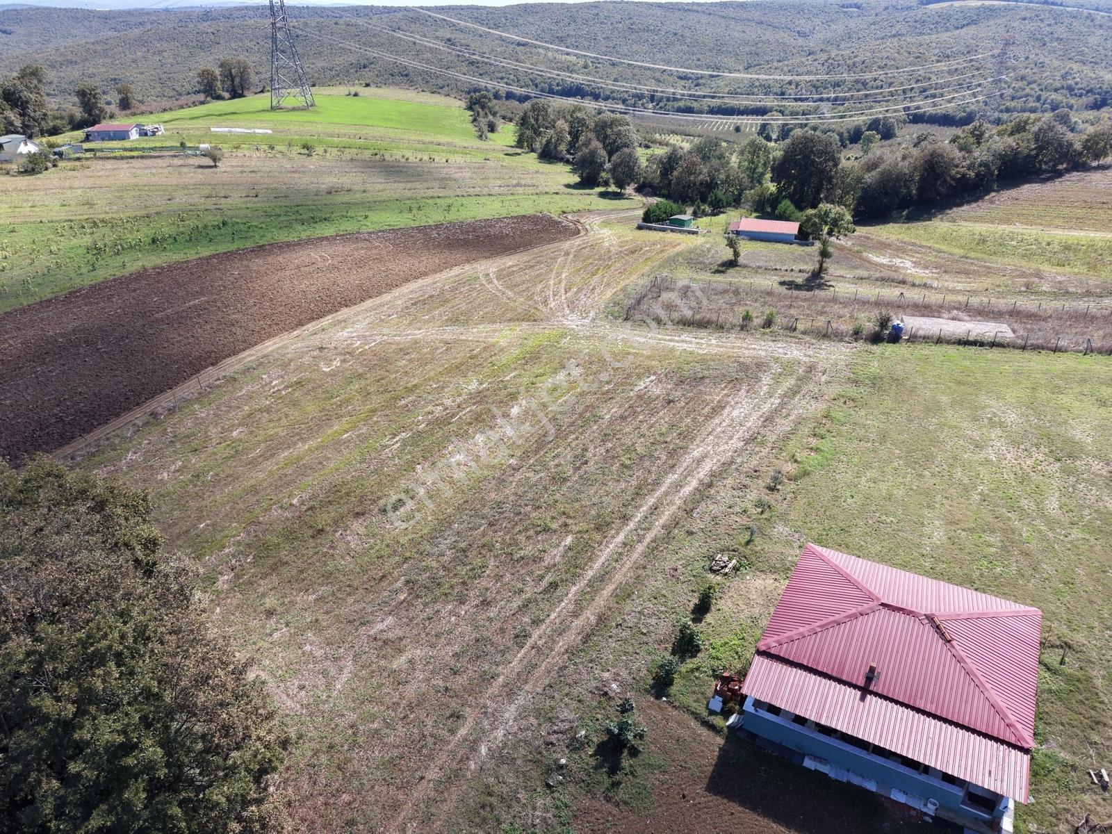 Kaynarca Karamanlarda 915m2 Müstakil Tapulu Yollu Fırsat — fotoğraf 22