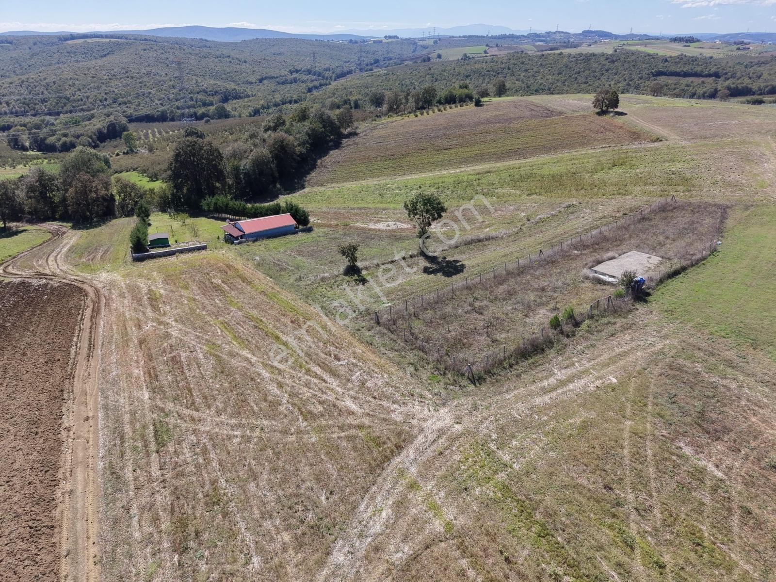 Kaynarca Karamanlarda 915m2 Müstakil Tapulu Yollu Fırsat — fotoğraf 23