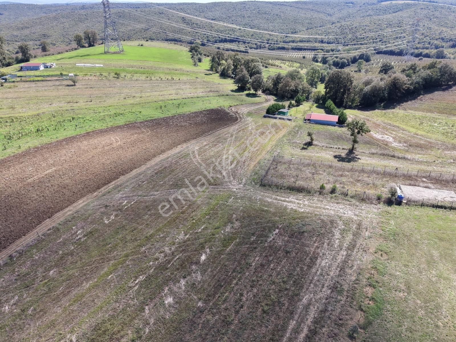 Kaynarca Karamanlarda 915m2 Müstakil Tapulu Yollu Fırsat — fotoğraf 24