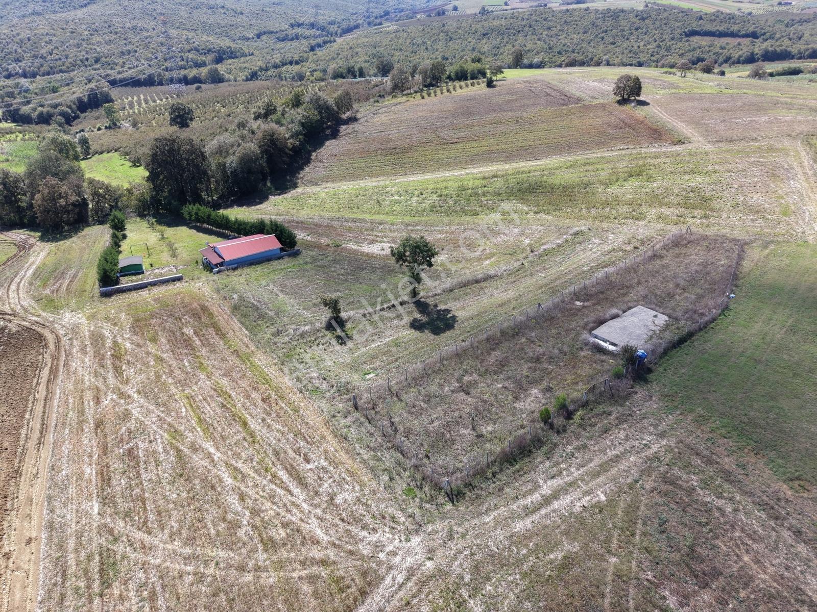 Kaynarca Karamanlarda 915m2 Müstakil Tapulu Yollu Fırsat — fotoğraf 25