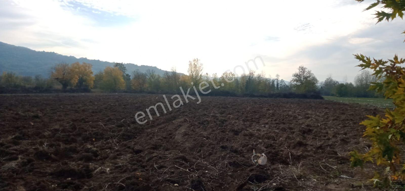 Bursa İnegöl Kurşunlu Mahallesinde Satılık Tarla — fotoğraf 7