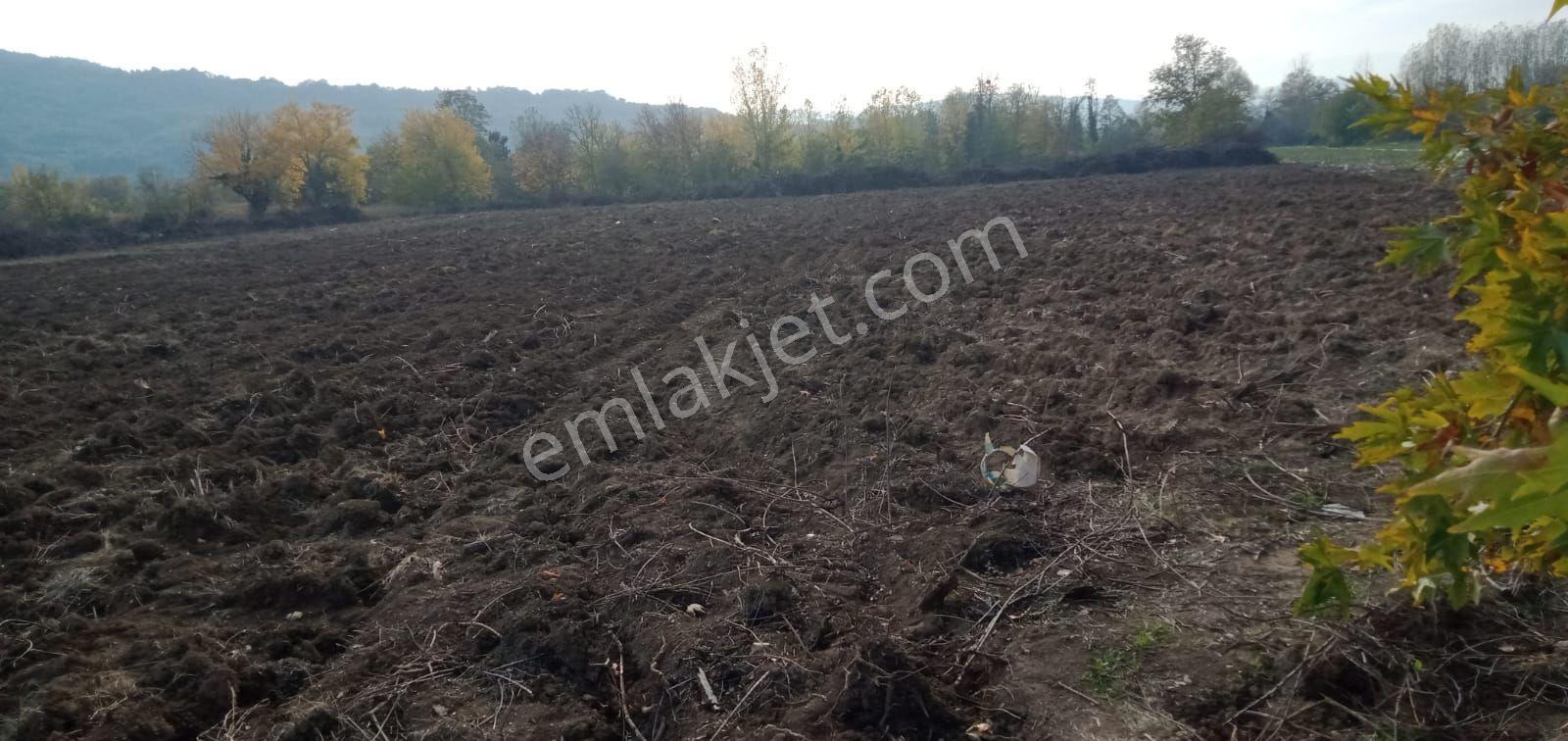 Bursa İnegöl Kurşunlu Mahallesinde Satılık Tarla — fotoğraf 8