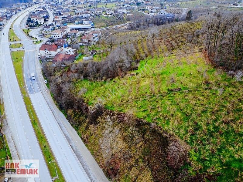 Hak Emlak'tan Şekerpınar Mah Ana Yola Cepheli Satılık 981m² Arsa — fotoğraf 8