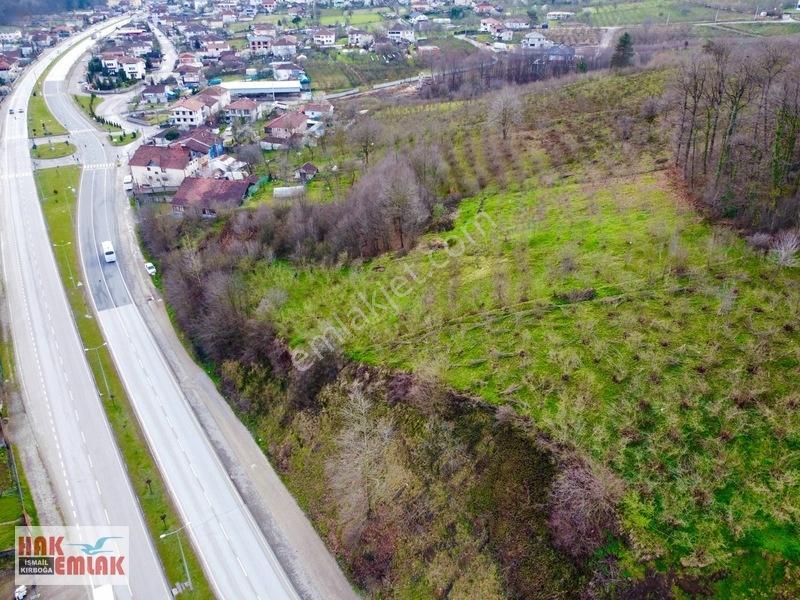 Hak Emlak'tan Şekerpınar Mah Ana Yola Cepheli Satılık 981m² Arsa — fotoğraf 21