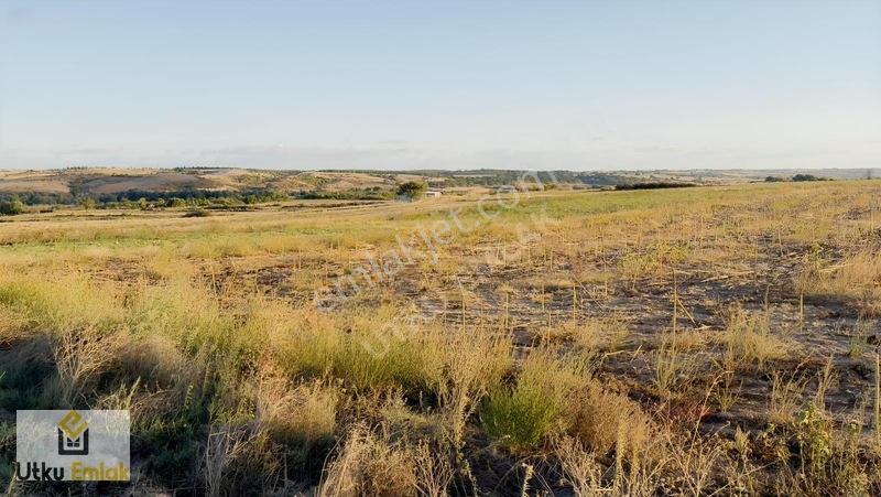 Babaeski Karabayır Da 1200 M2 Köydibi Satılık Tarla — fotoğraf 3