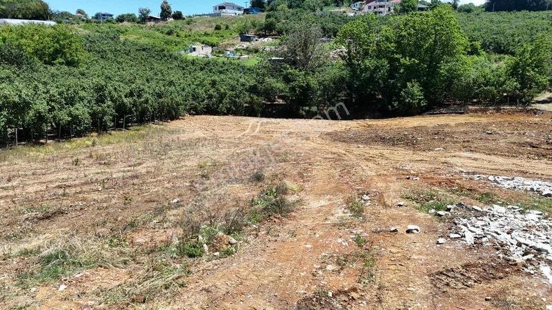 302m2 Arsa İçinde Müstakil Villa Topraktan Alım Fırsatı — fotoğraf 7