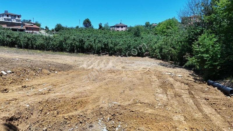 302m2 Arsa İçinde Müstakil Villa Topraktan Alım Fırsatı — fotoğraf 12