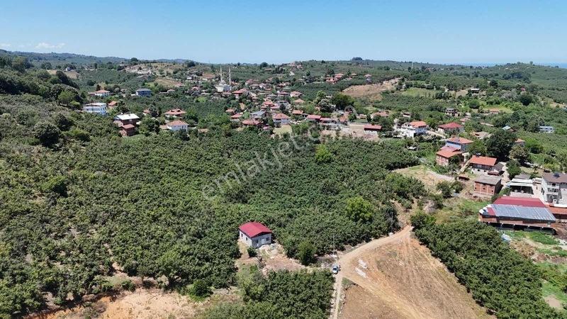 302m2 Arsa İçinde Müstakil Villa Topraktan Alım Fırsatı — fotoğraf 24