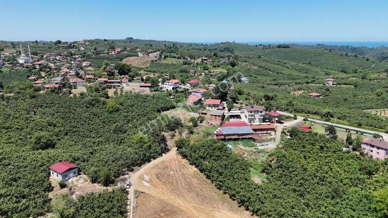 302m2 Arsa İçinde Müstakil Villa Topraktan Alım Fırsatı — fotoğraf 25