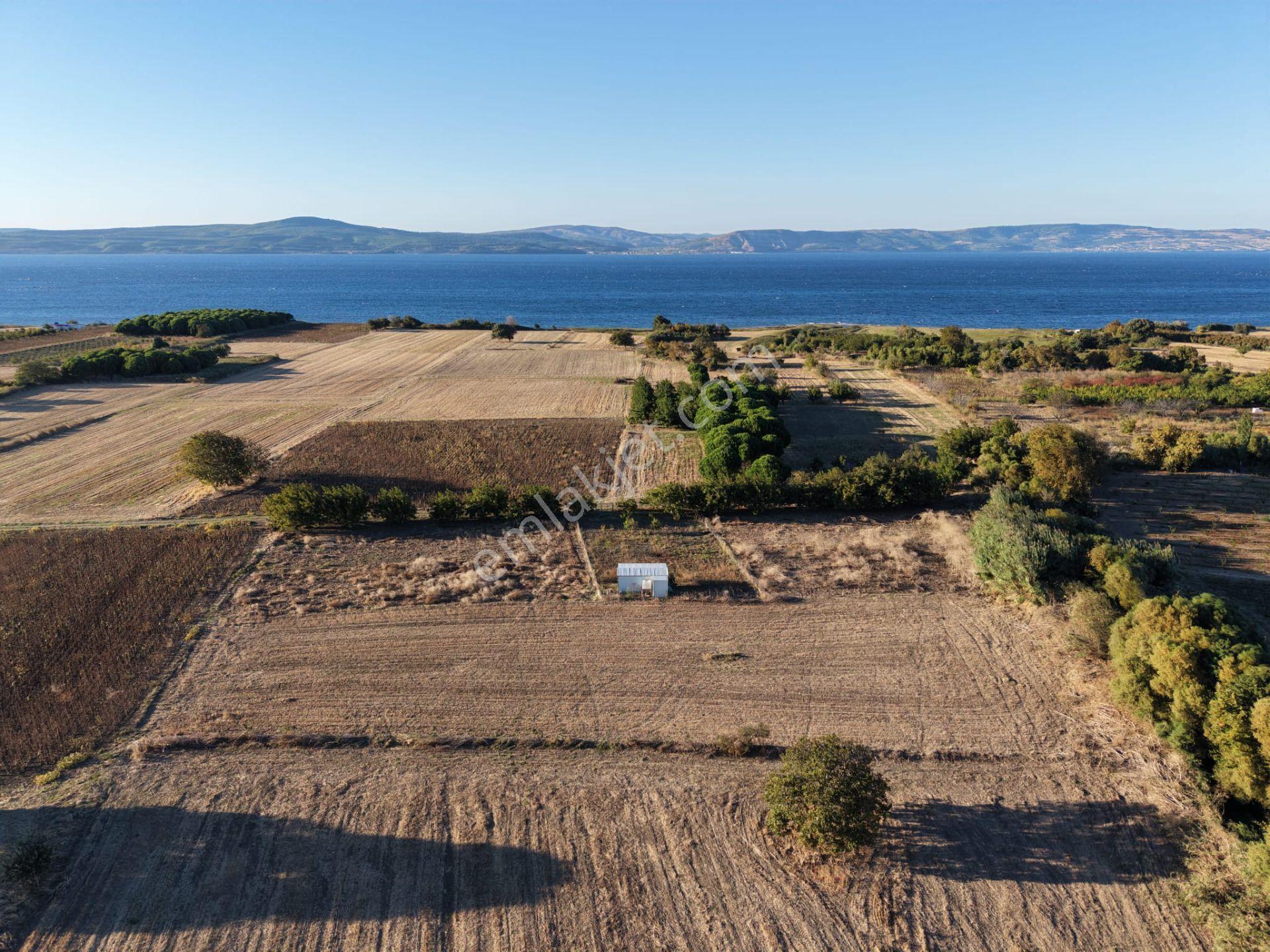 Çanakkale Özbek Köyünde Panoramik Deniz Manzaralı Satılık Tarla