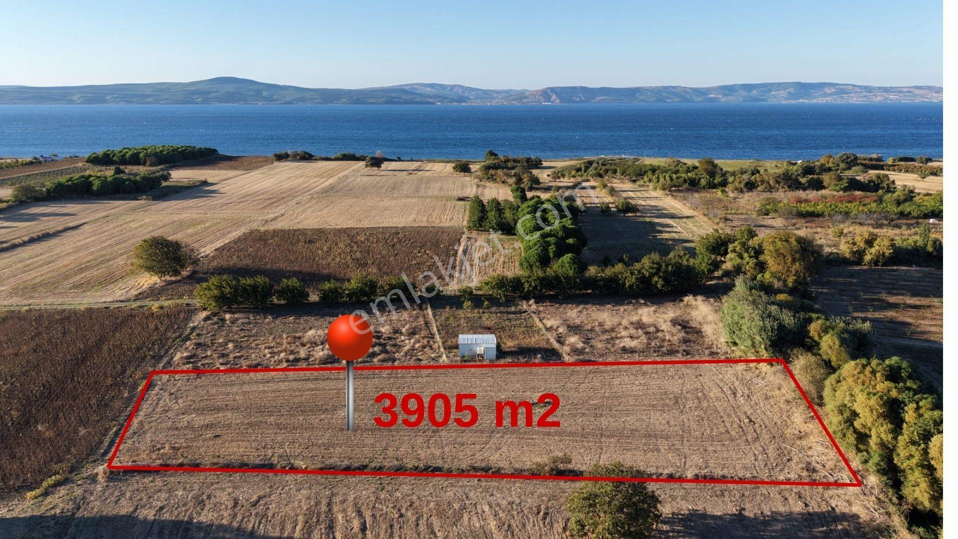 Çanakkale Özbek Köyünde Panoramik Deniz Manzaralı Satılık Tarla — fotoğraf 2