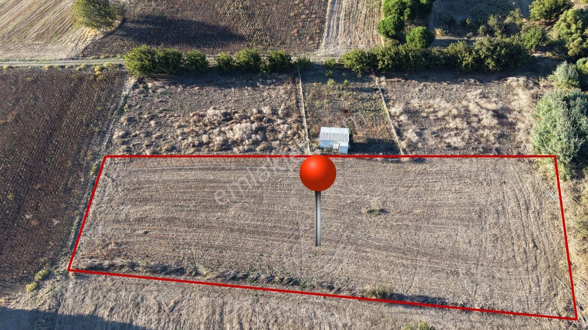 Çanakkale Özbek Köyünde Panoramik Deniz Manzaralı Satılık Tarla — fotoğraf 3