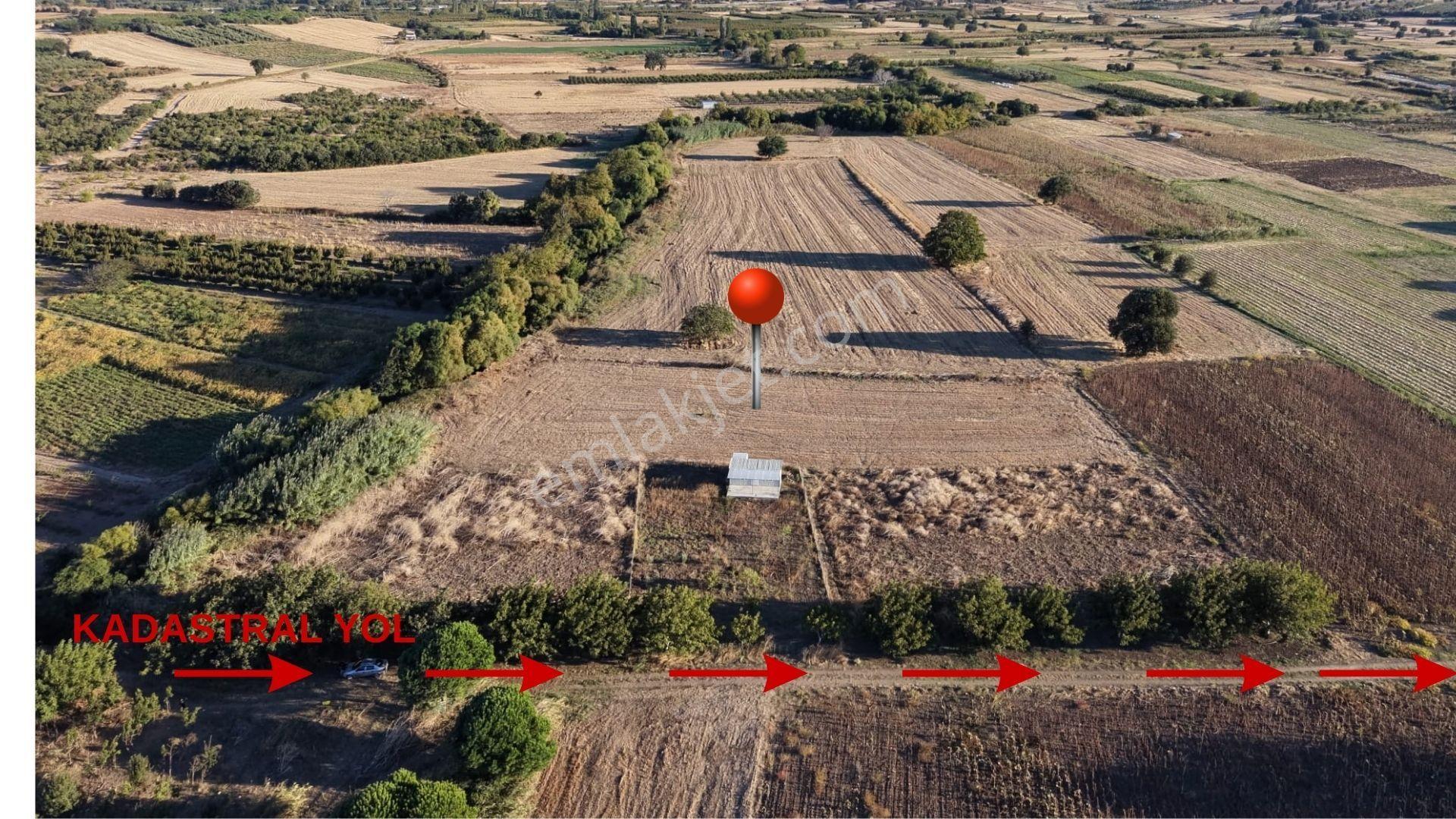 Çanakkale Özbek Köyünde Panoramik Deniz Manzaralı Satılık Tarla — fotoğraf 5