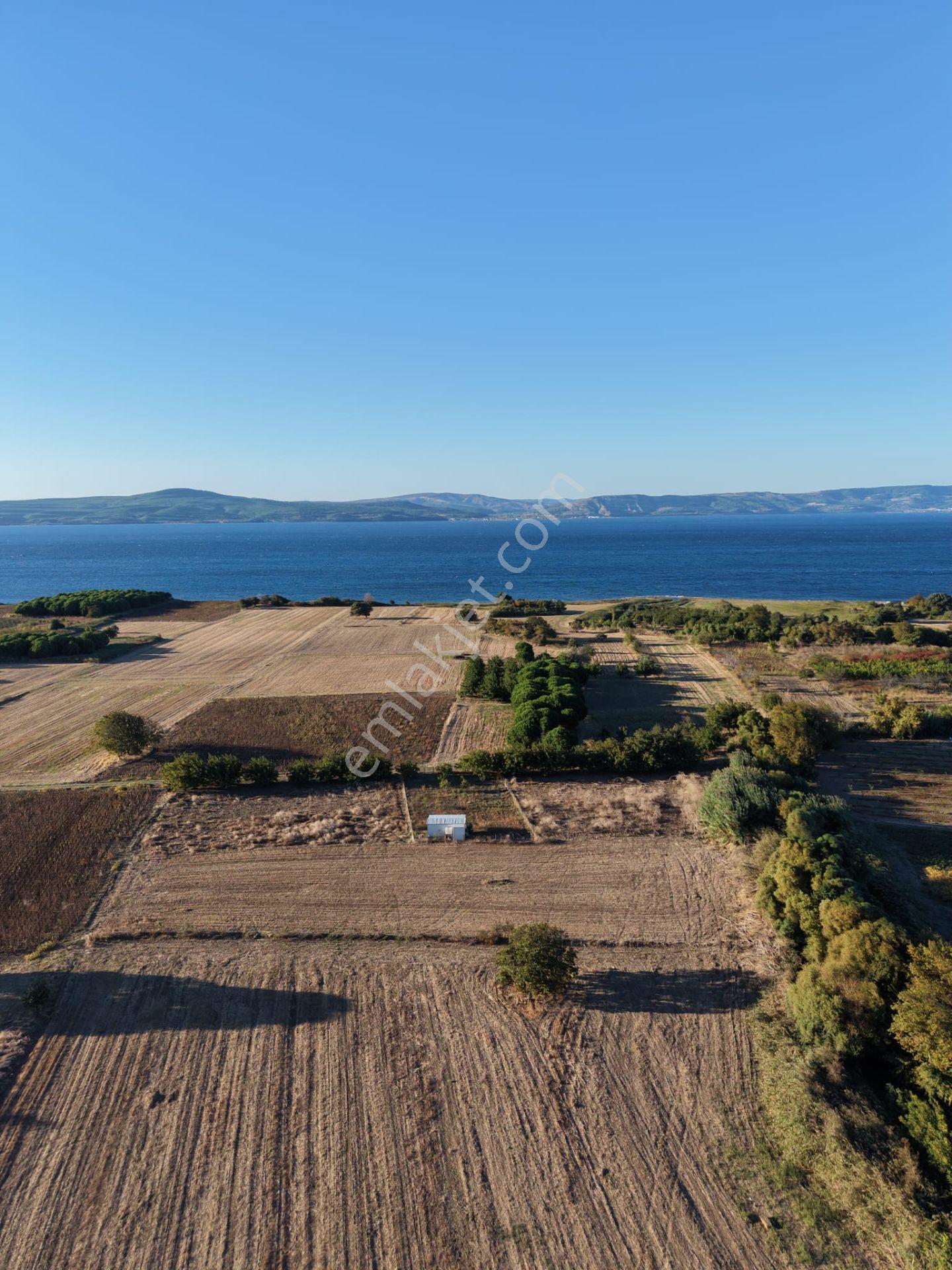 Çanakkale Özbek Köyünde Panoramik Deniz Manzaralı Satılık Tarla — fotoğraf 6