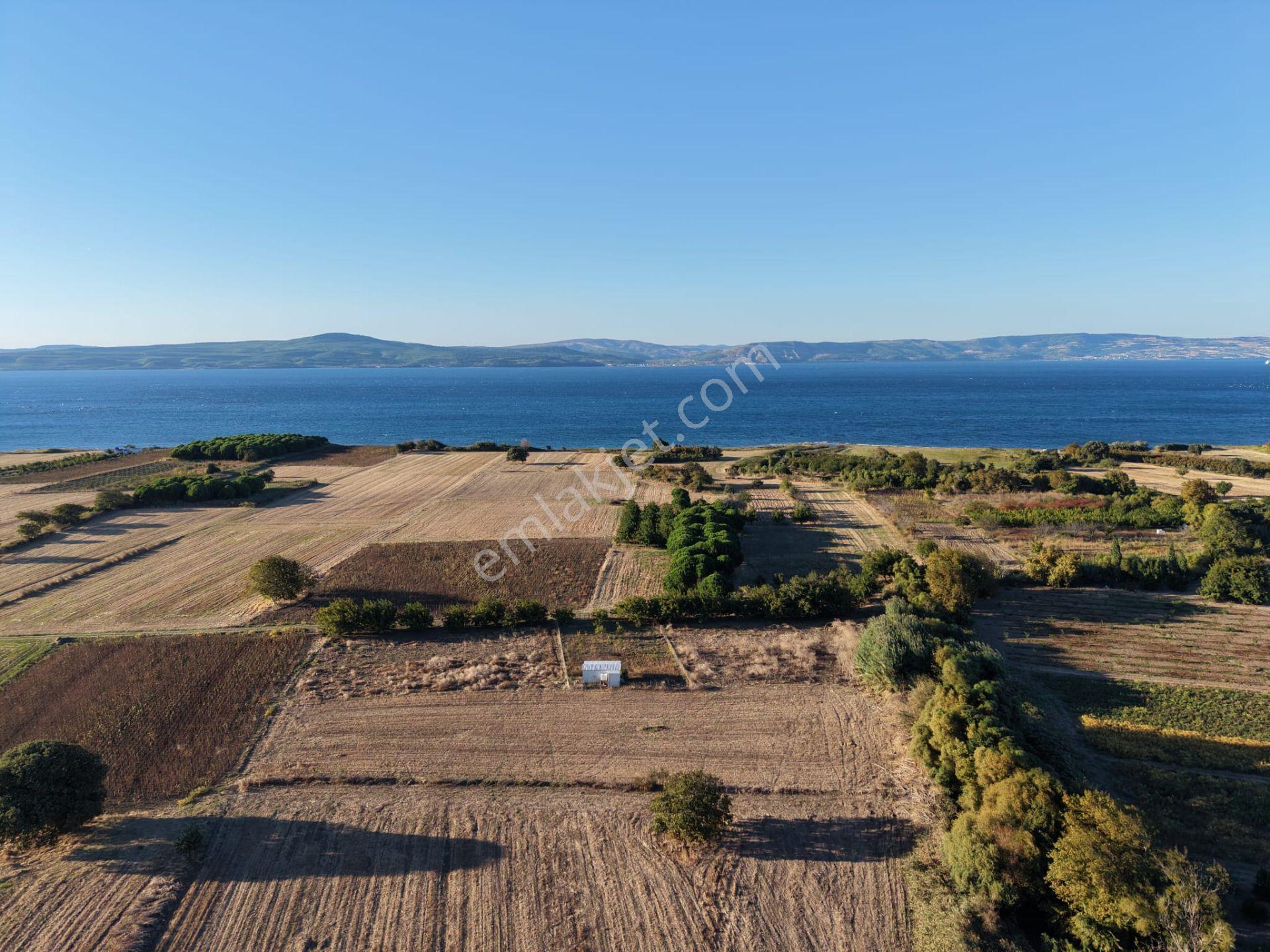 Çanakkale Özbek Köyünde Panoramik Deniz Manzaralı Satılık Tarla — fotoğraf 7