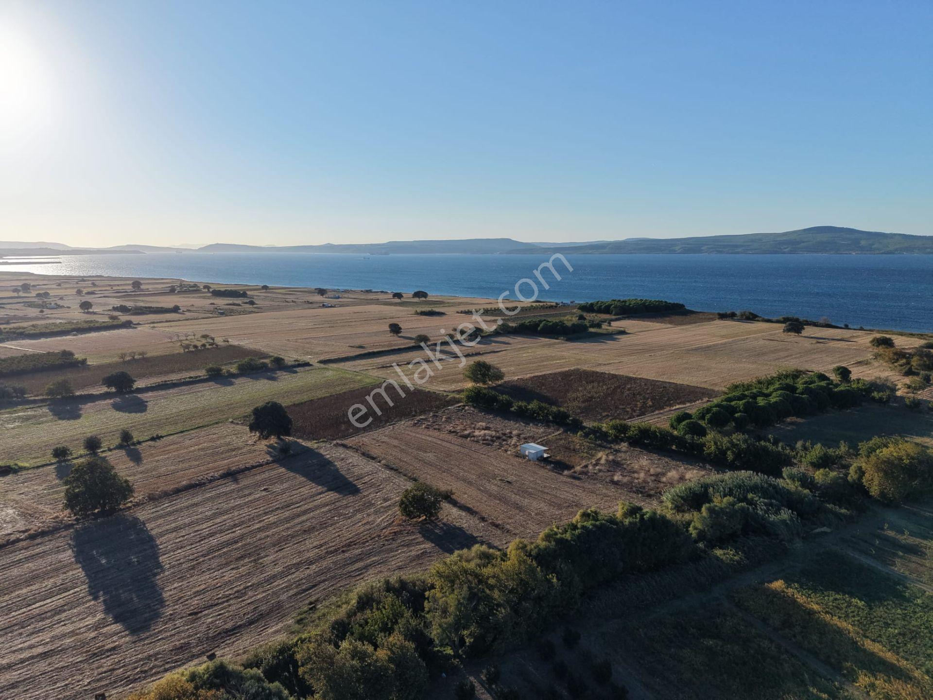 Çanakkale Özbek Köyünde Panoramik Deniz Manzaralı Satılık Tarla — fotoğraf 8