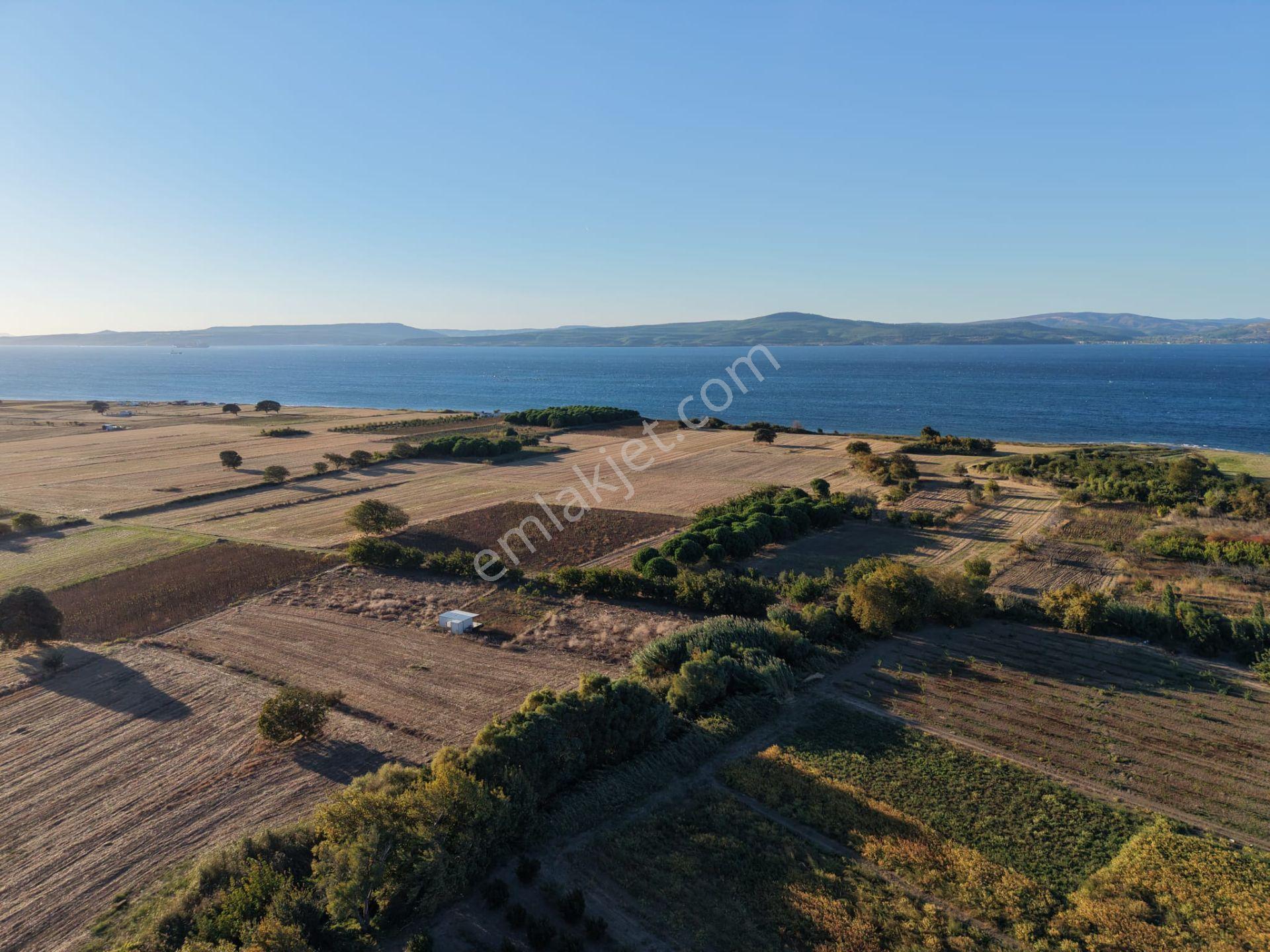 Çanakkale Özbek Köyünde Panoramik Deniz Manzaralı Satılık Tarla — fotoğraf 9