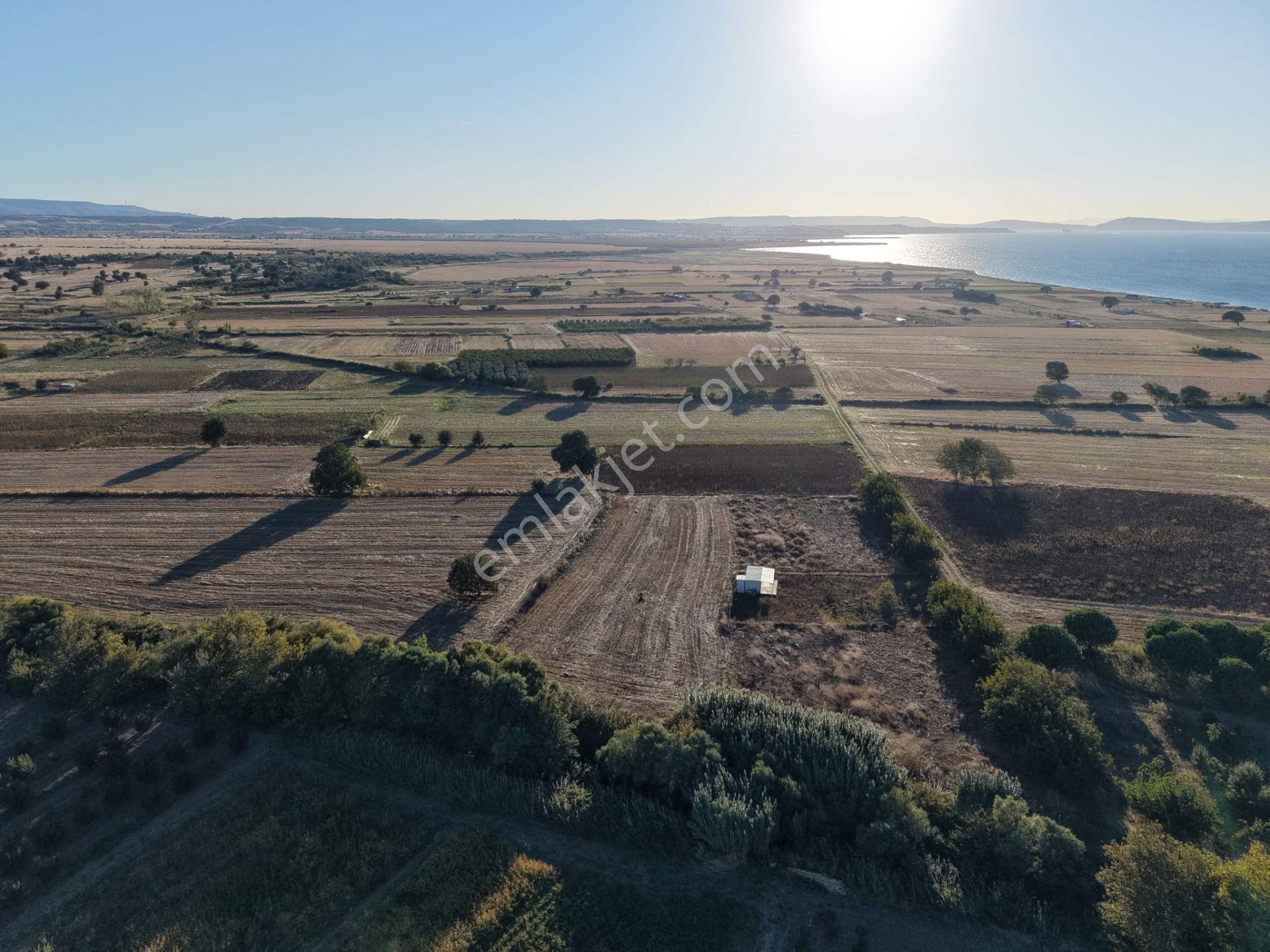 Çanakkale Özbek Köyünde Panoramik Deniz Manzaralı Satılık Tarla — fotoğraf 10