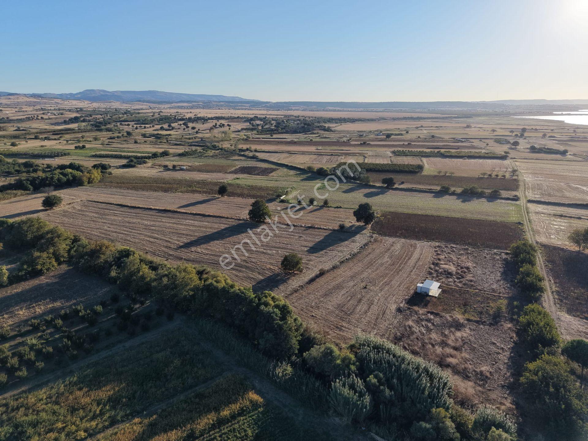 Çanakkale Özbek Köyünde Panoramik Deniz Manzaralı Satılık Tarla — fotoğraf 11