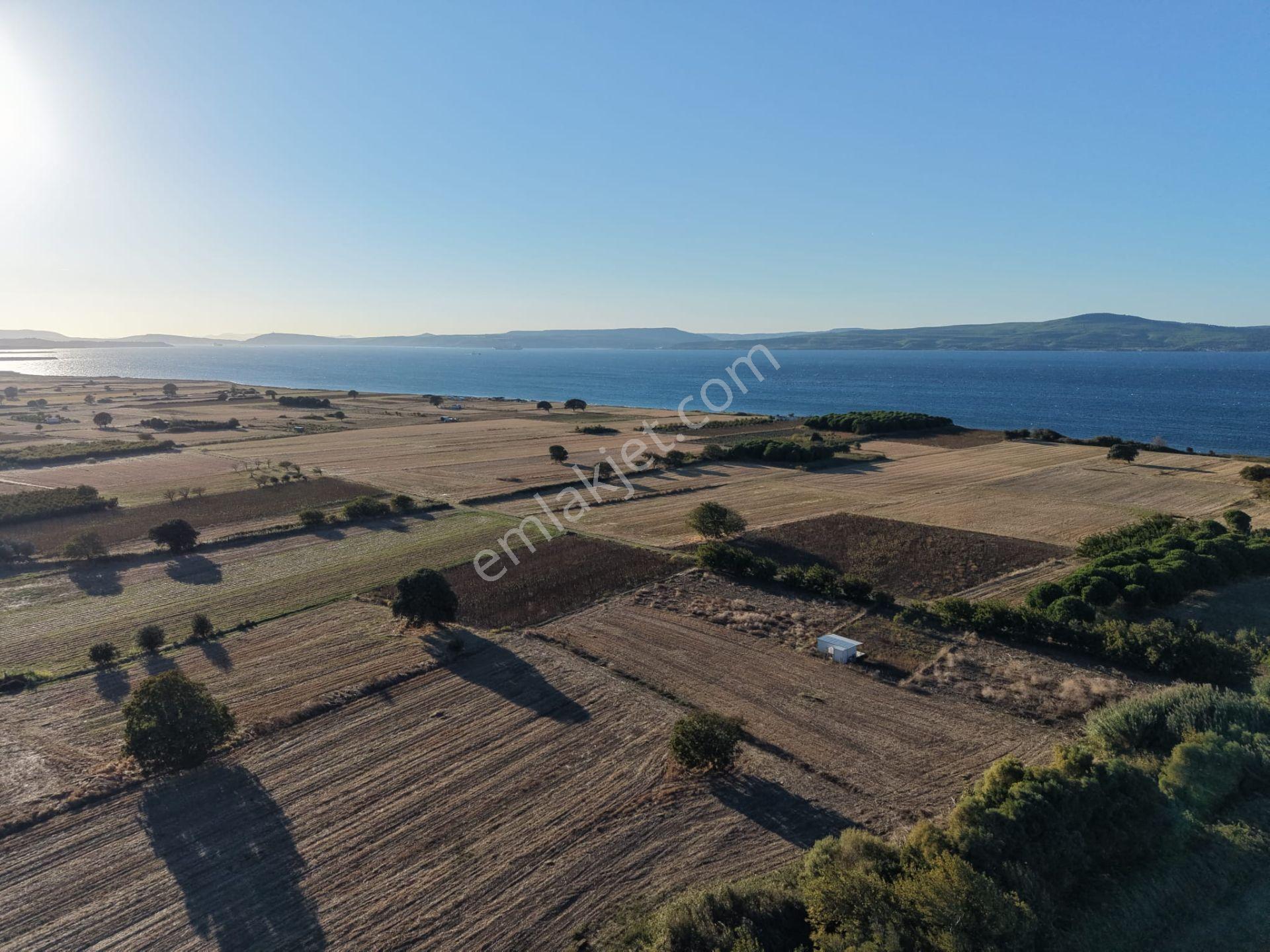 Çanakkale Özbek Köyünde Panoramik Deniz Manzaralı Satılık Tarla — fotoğraf 14