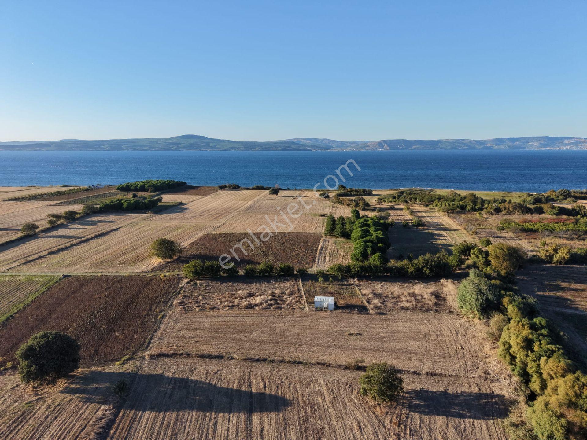 Çanakkale Özbek Köyünde Panoramik Deniz Manzaralı Satılık Tarla — fotoğraf 15