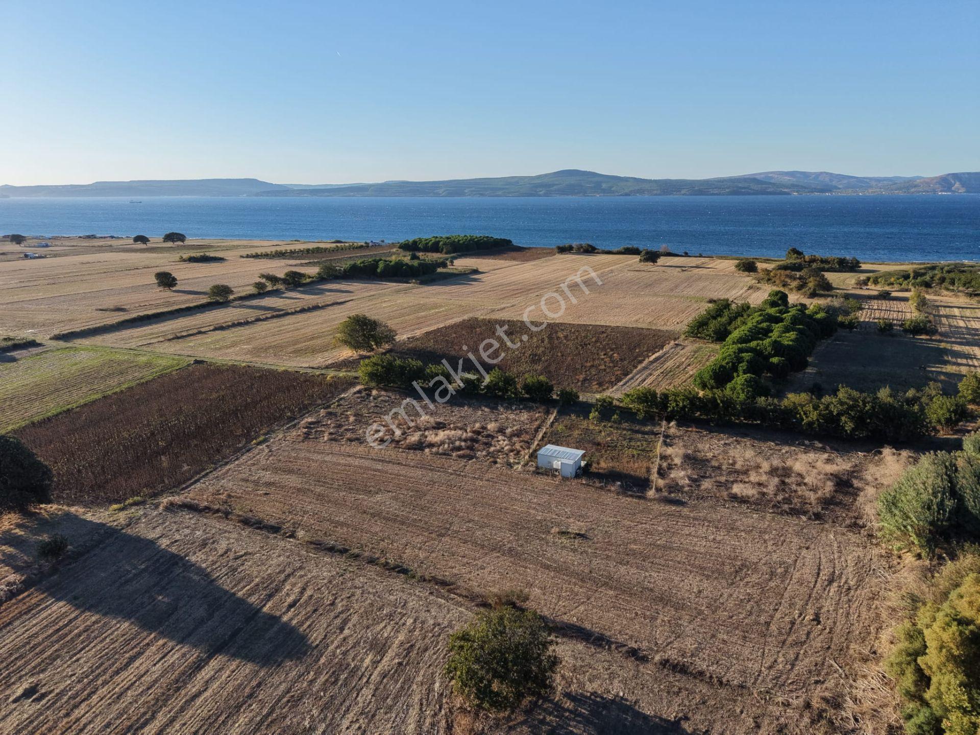 Çanakkale Özbek Köyünde Panoramik Deniz Manzaralı Satılık Tarla — fotoğraf 16