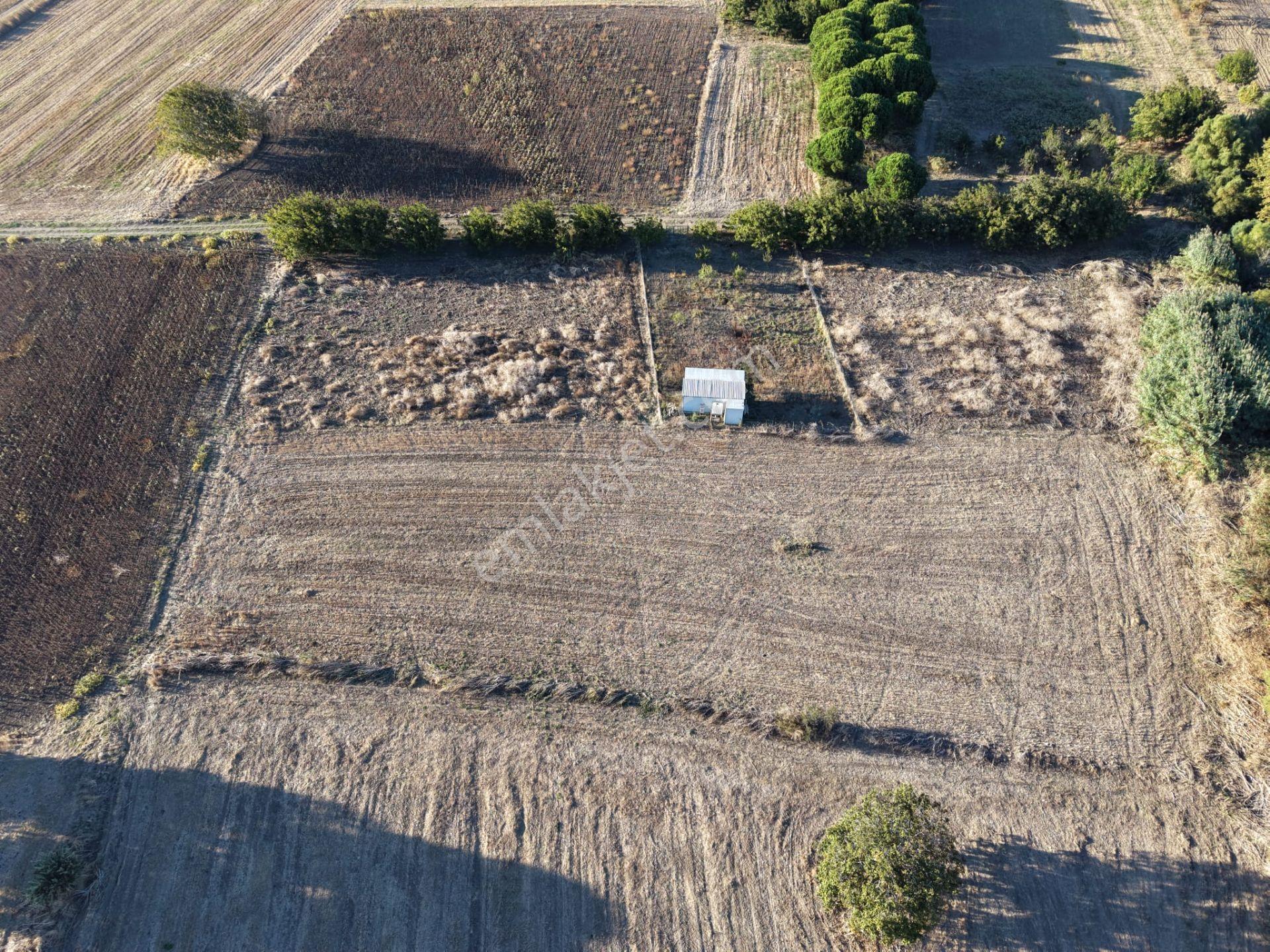 Çanakkale Özbek Köyünde Panoramik Deniz Manzaralı Satılık Tarla — fotoğraf 18
